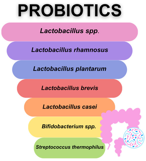 Nutrients 15 03558 g002