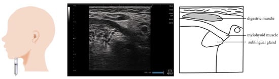 Nutrients 15 03560 g002