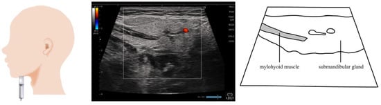 Nutrients 15 03560 g003