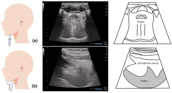 Nutrients 15 03560 g004