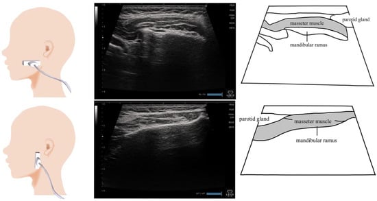 Nutrients 15 03560 g006