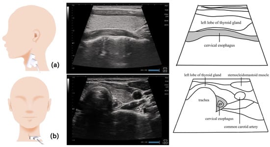 Nutrients 15 03560 g012