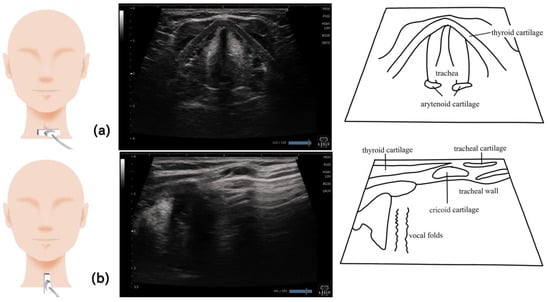 Nutrients 15 03560 g013
