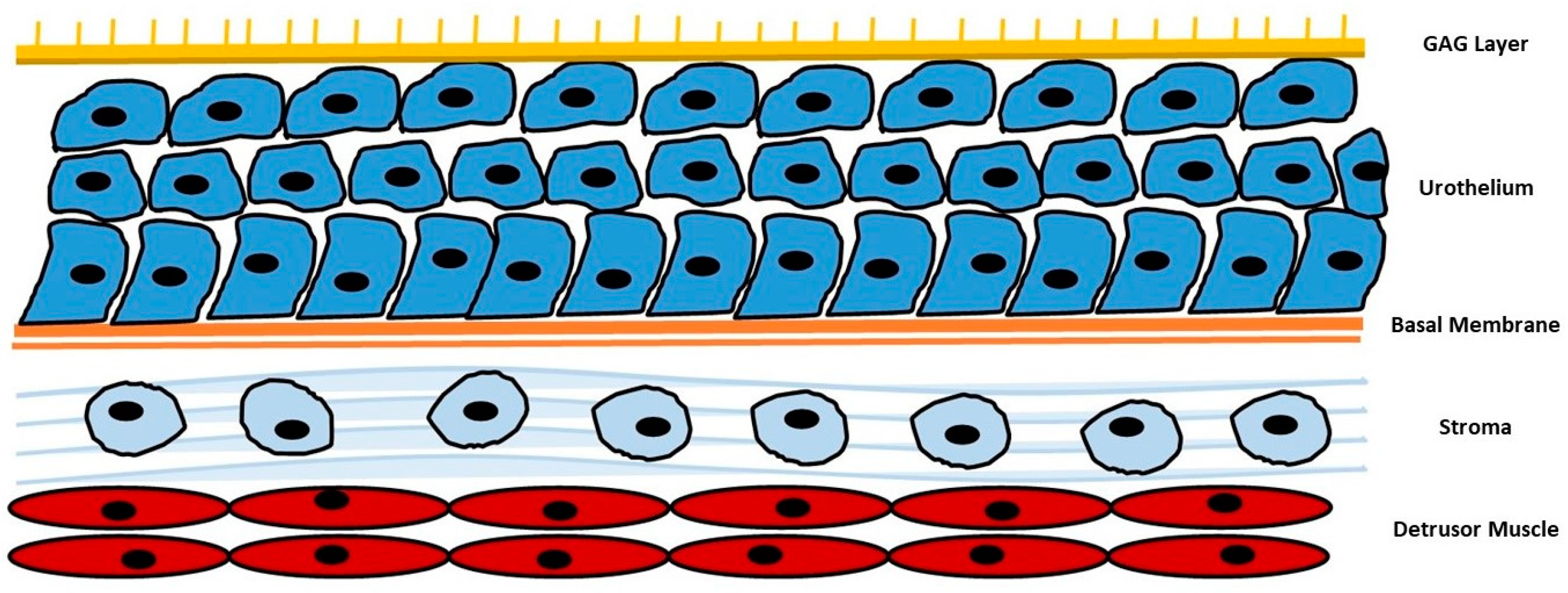 Nutrients 15 03573 g001