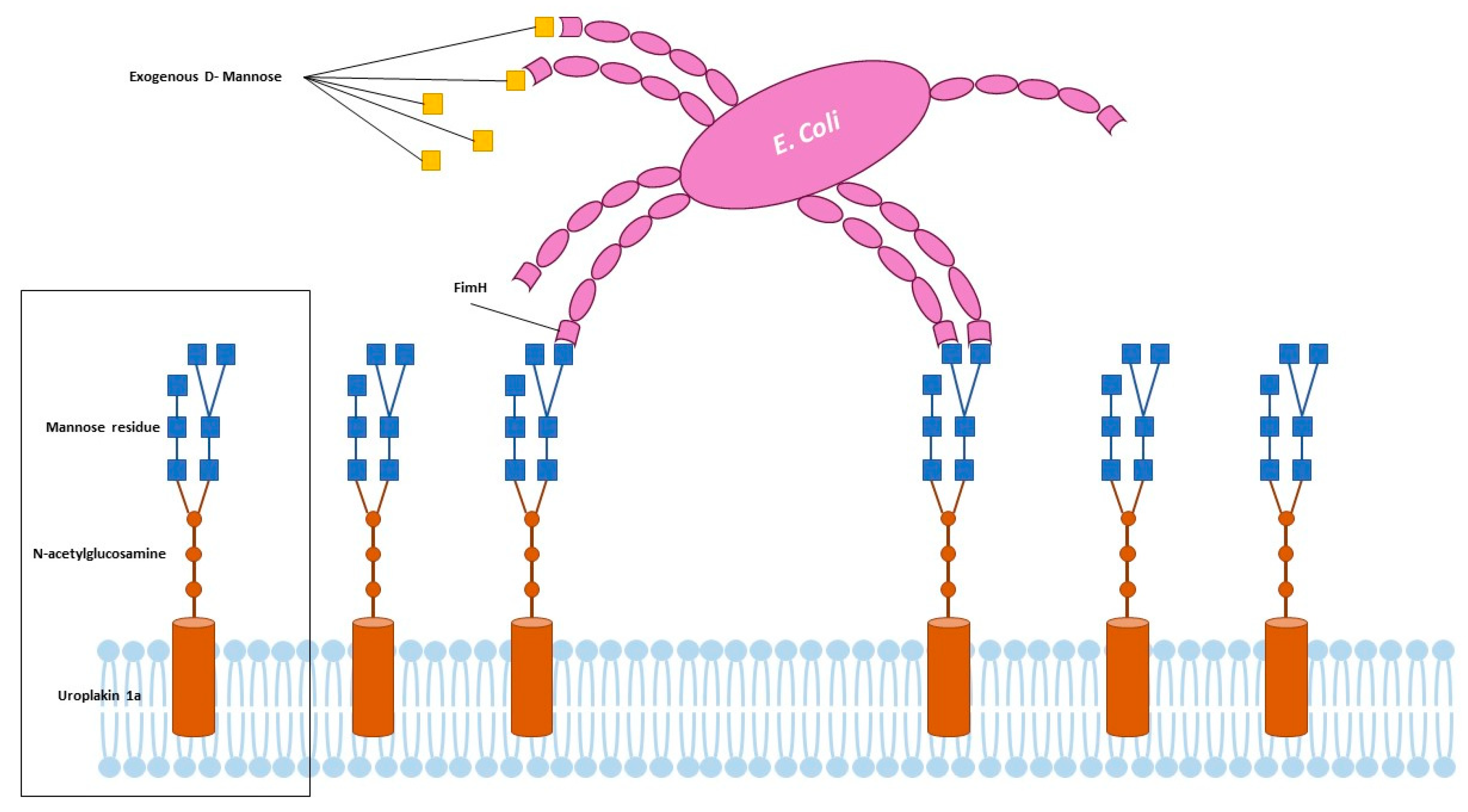 Nutrients 15 03573 g002
