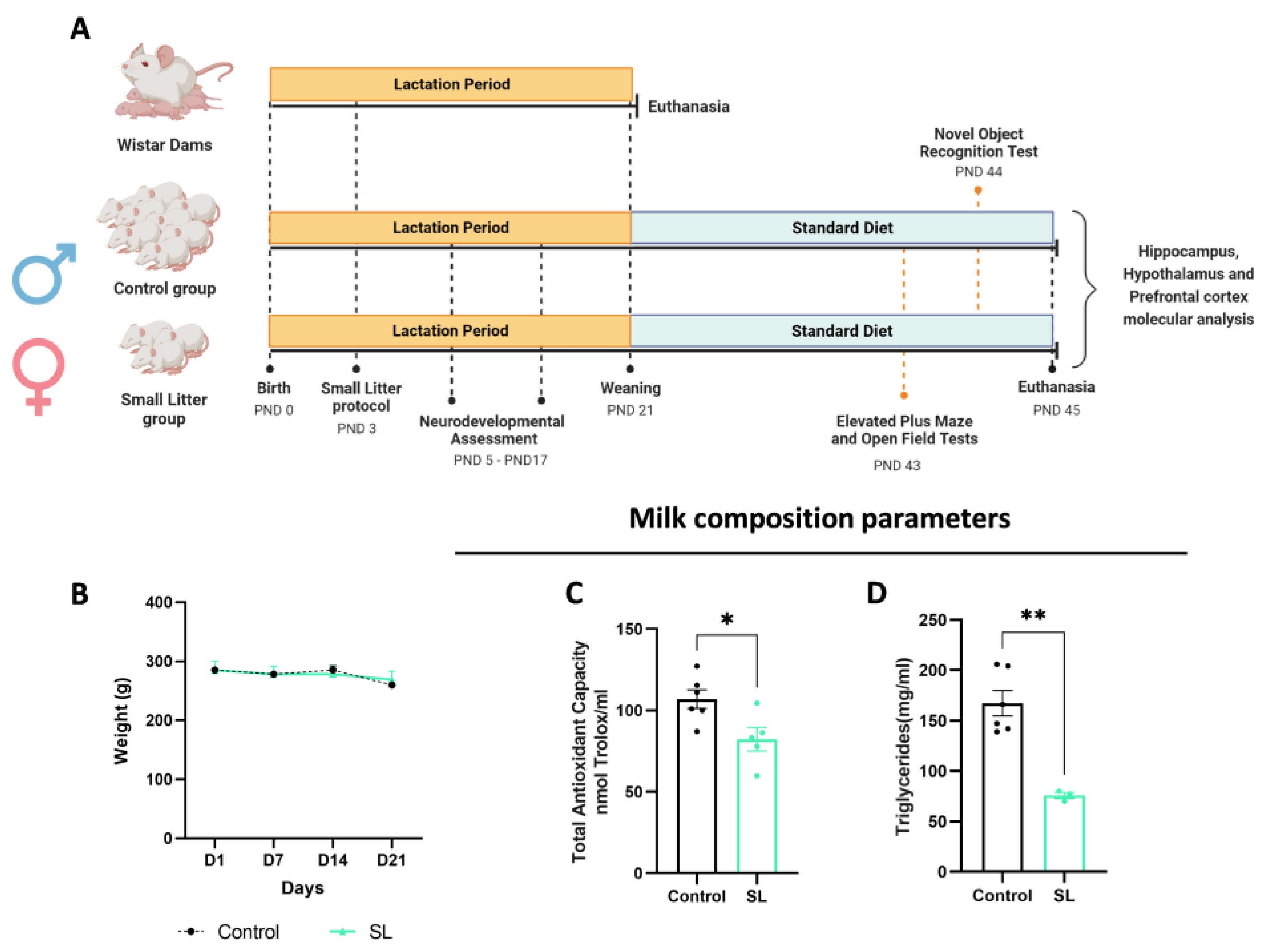 Nutrients 15 03581 g001