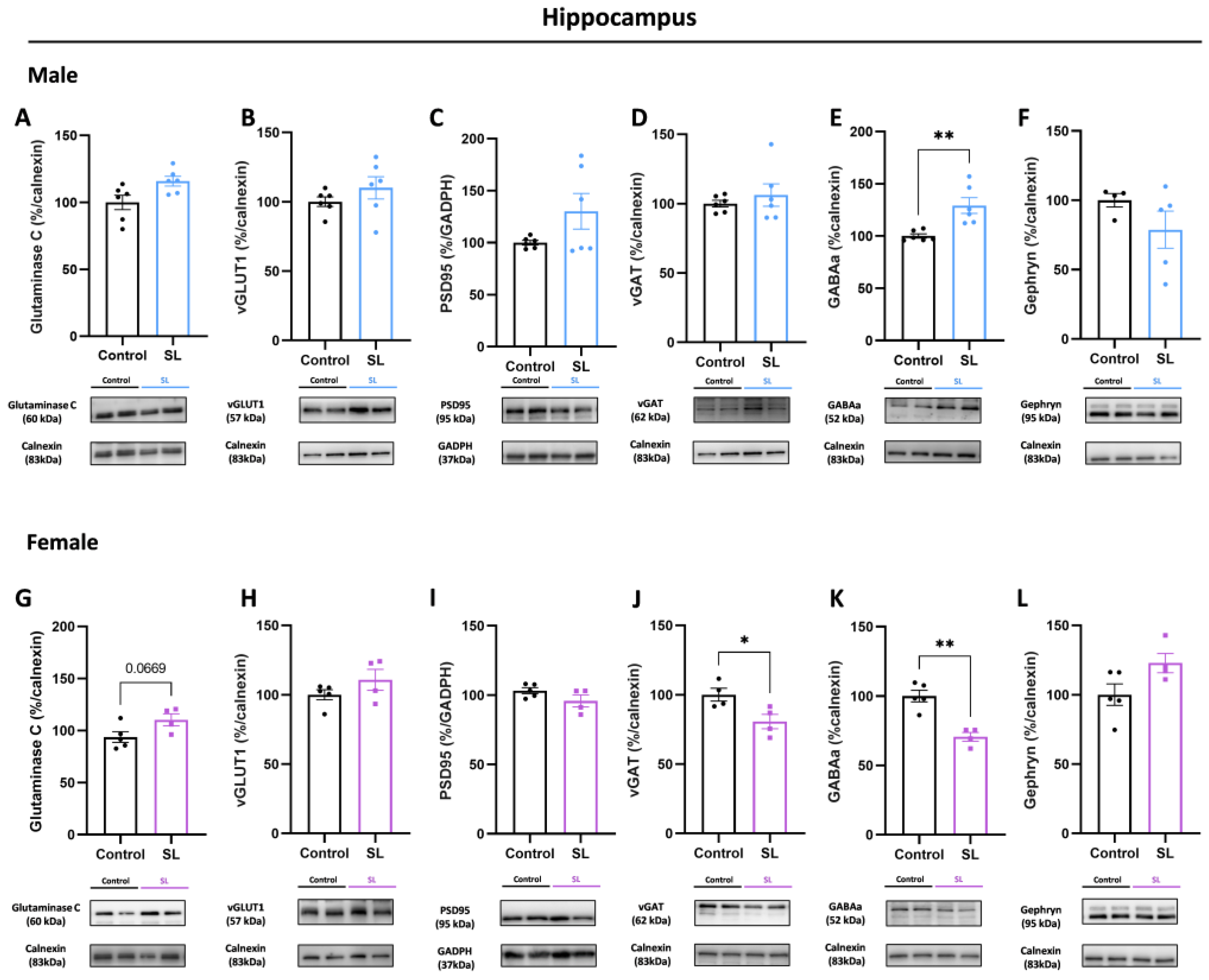 Nutrients 15 03581 g005