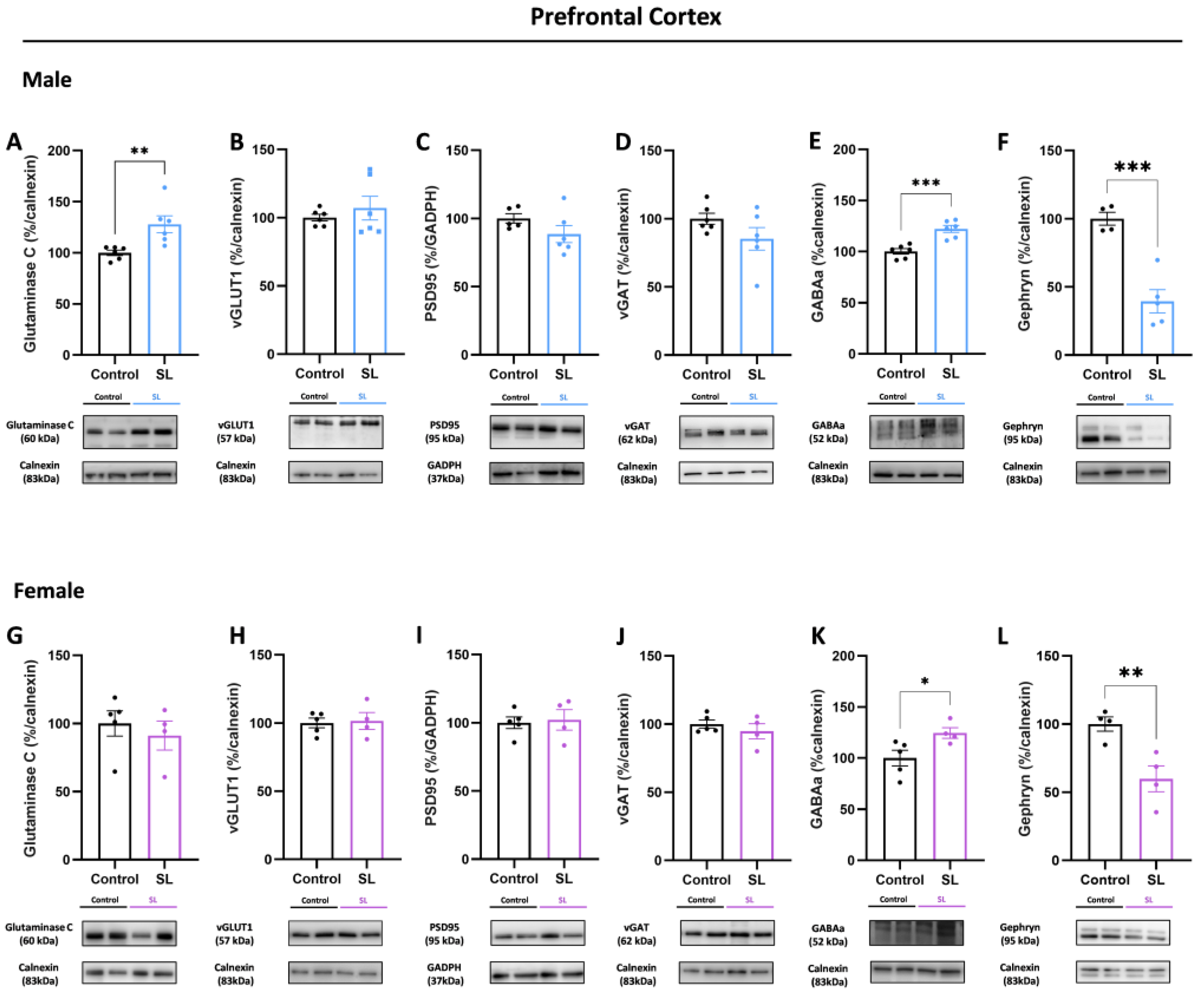 Nutrients 15 03581 g006
