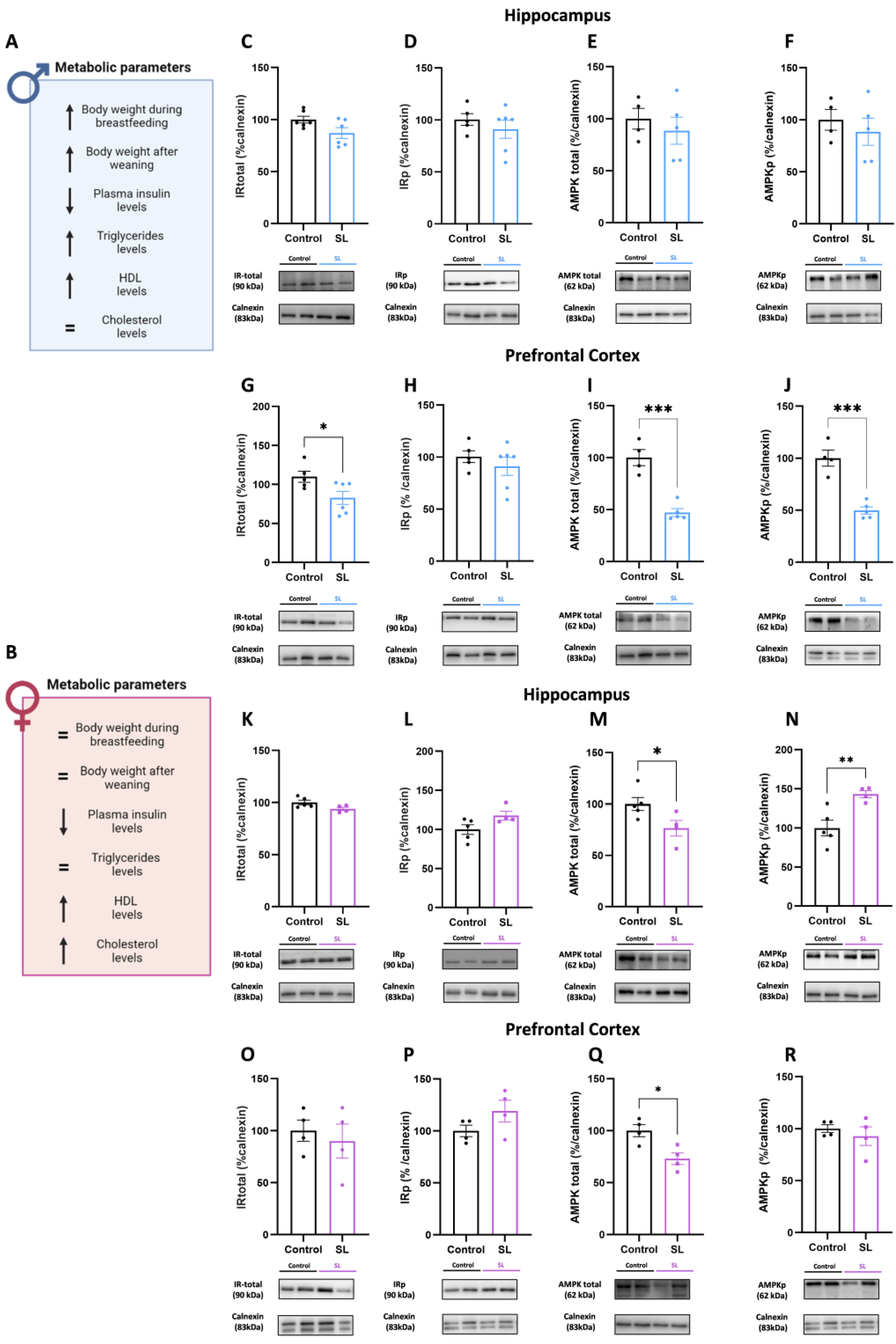 Nutrients 15 03581 g008