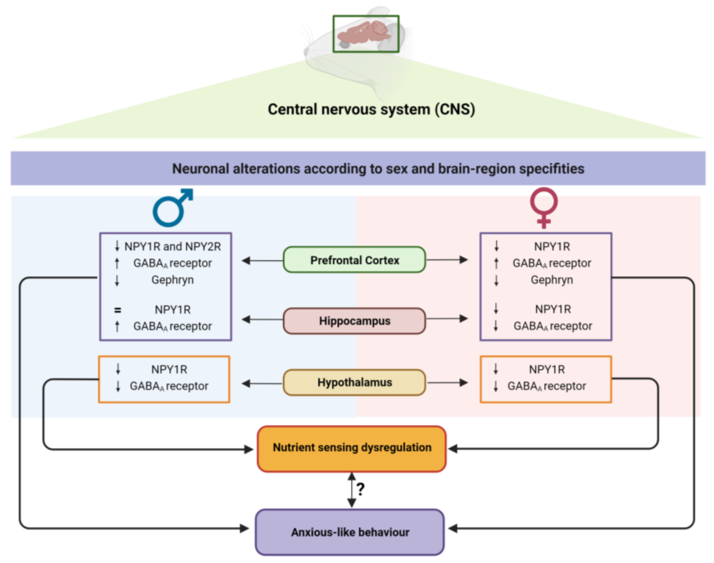 Nutrients 15 03581 g009