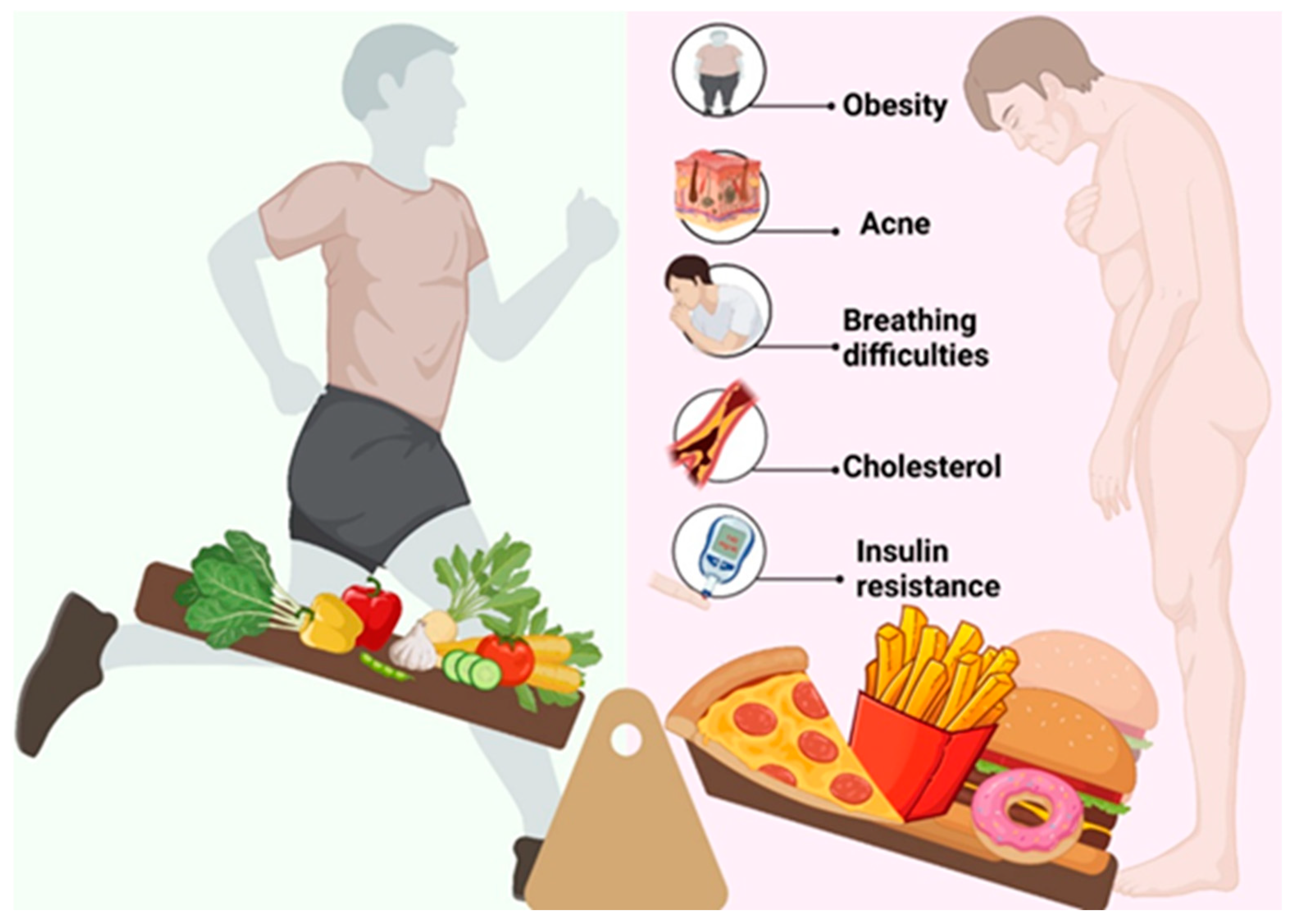 Nutrients 15 03591 g002 Nutrients 15 03591 g002