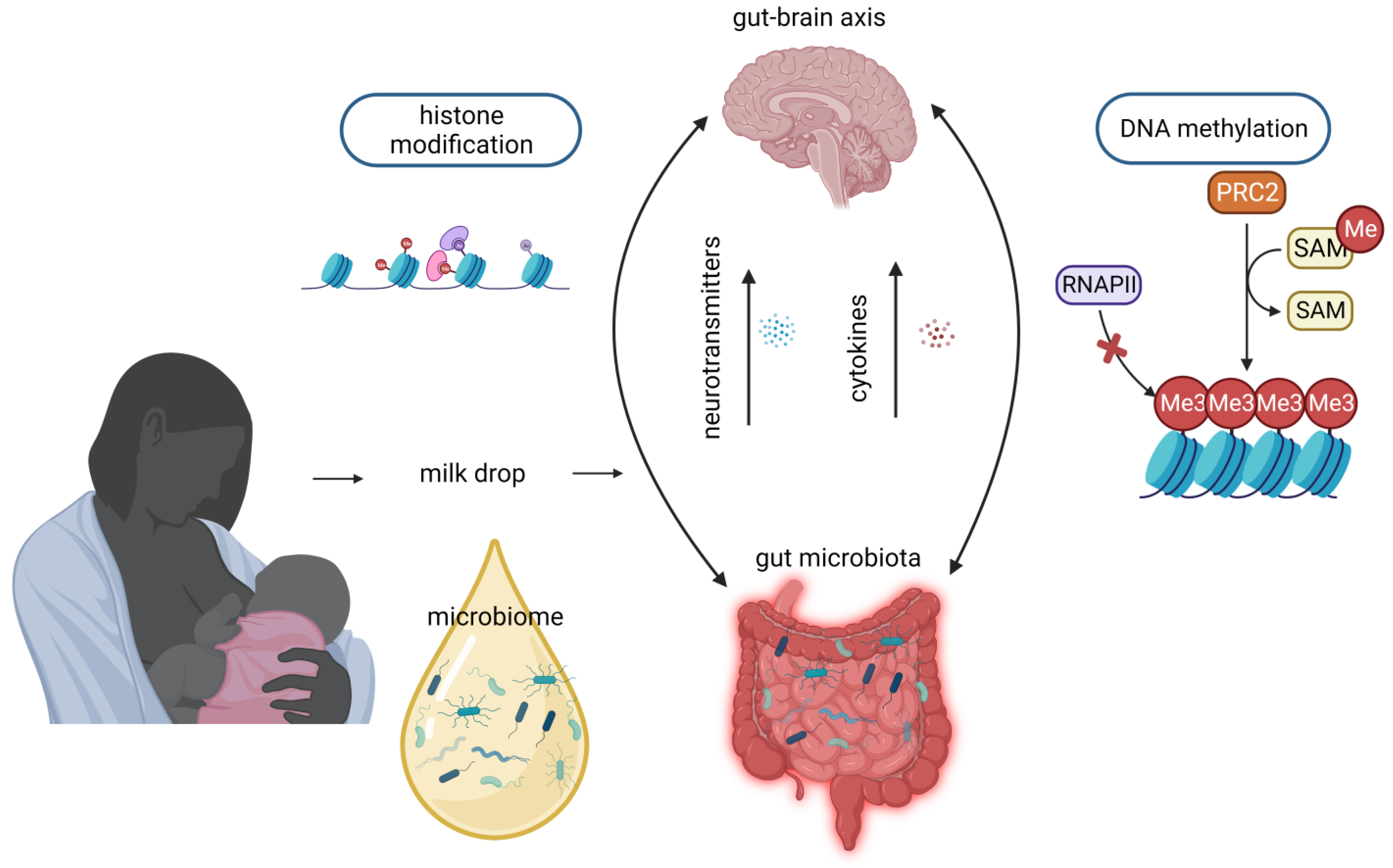 Nutrients 15 03614 g003