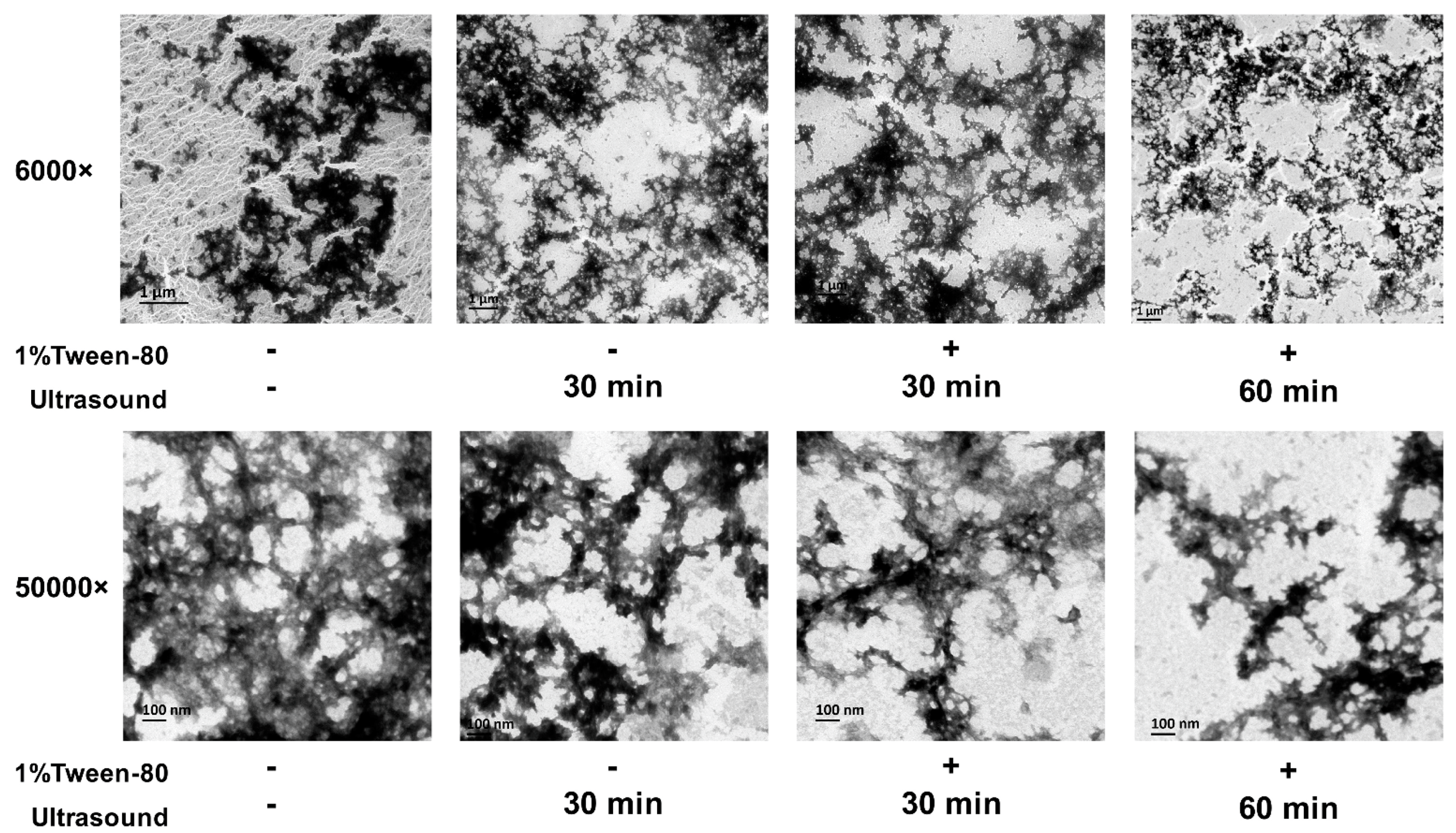 Nutrients 15 03650 g005 Nutrients 15 03650 g005