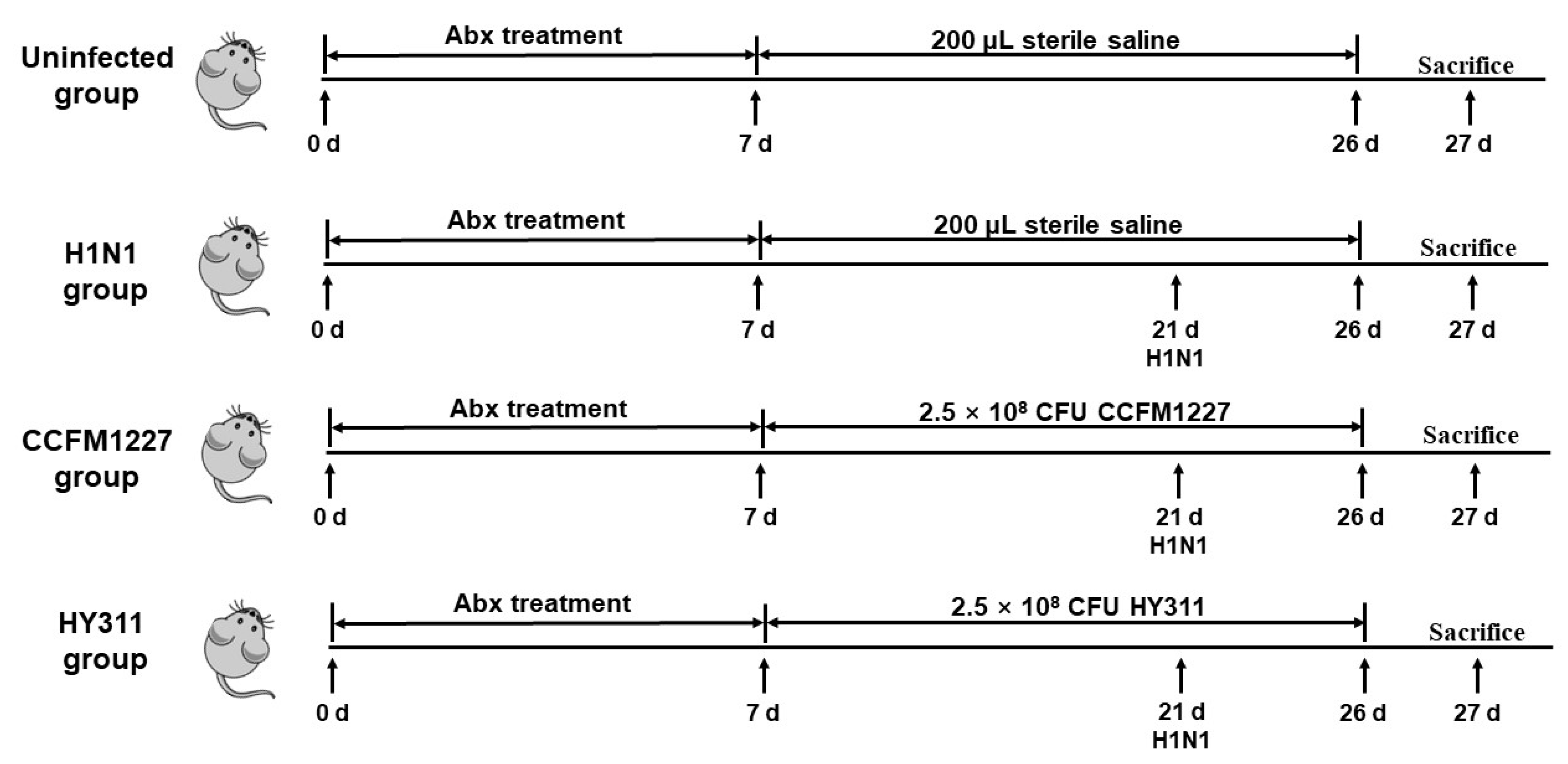 Nutrients 15 03659 g001 Nutrients 15 03659 g001