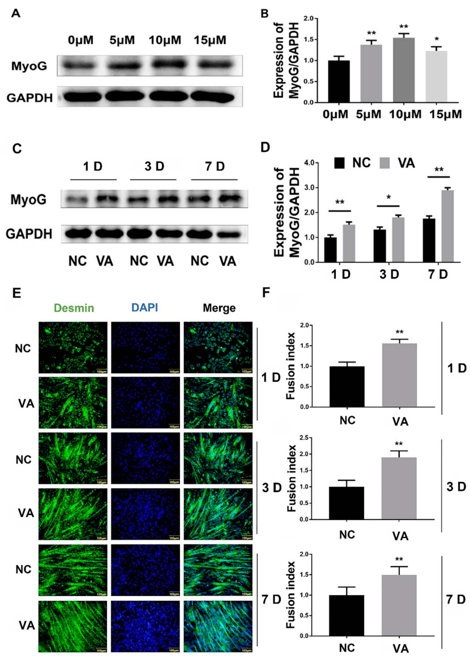 Nutrients 15 03674 g001