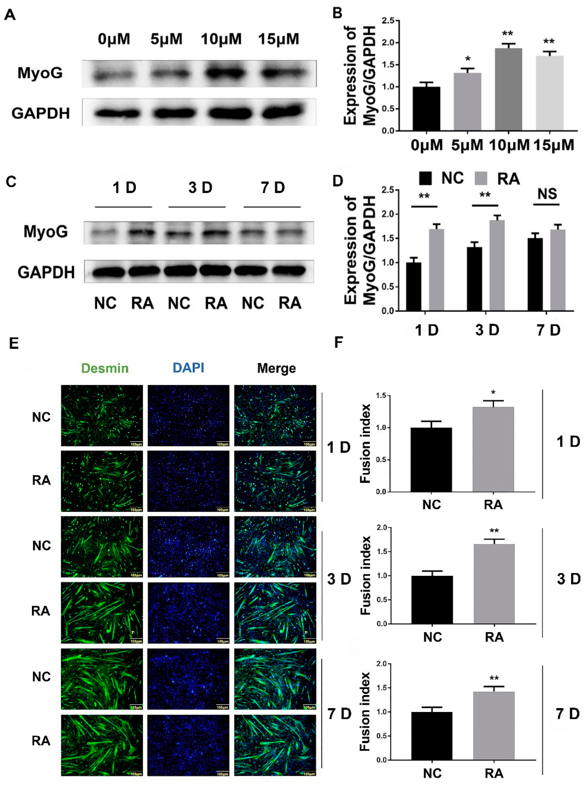 Nutrients 15 03674 g002
