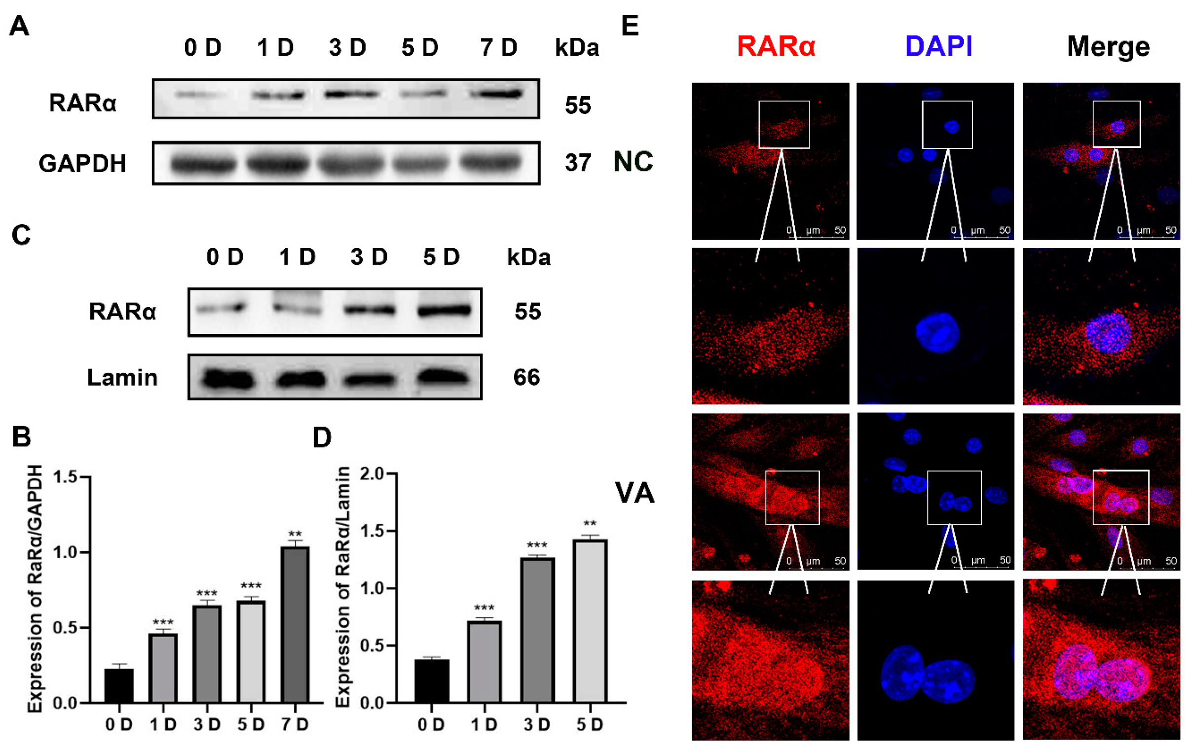 Nutrients 15 03674 g003