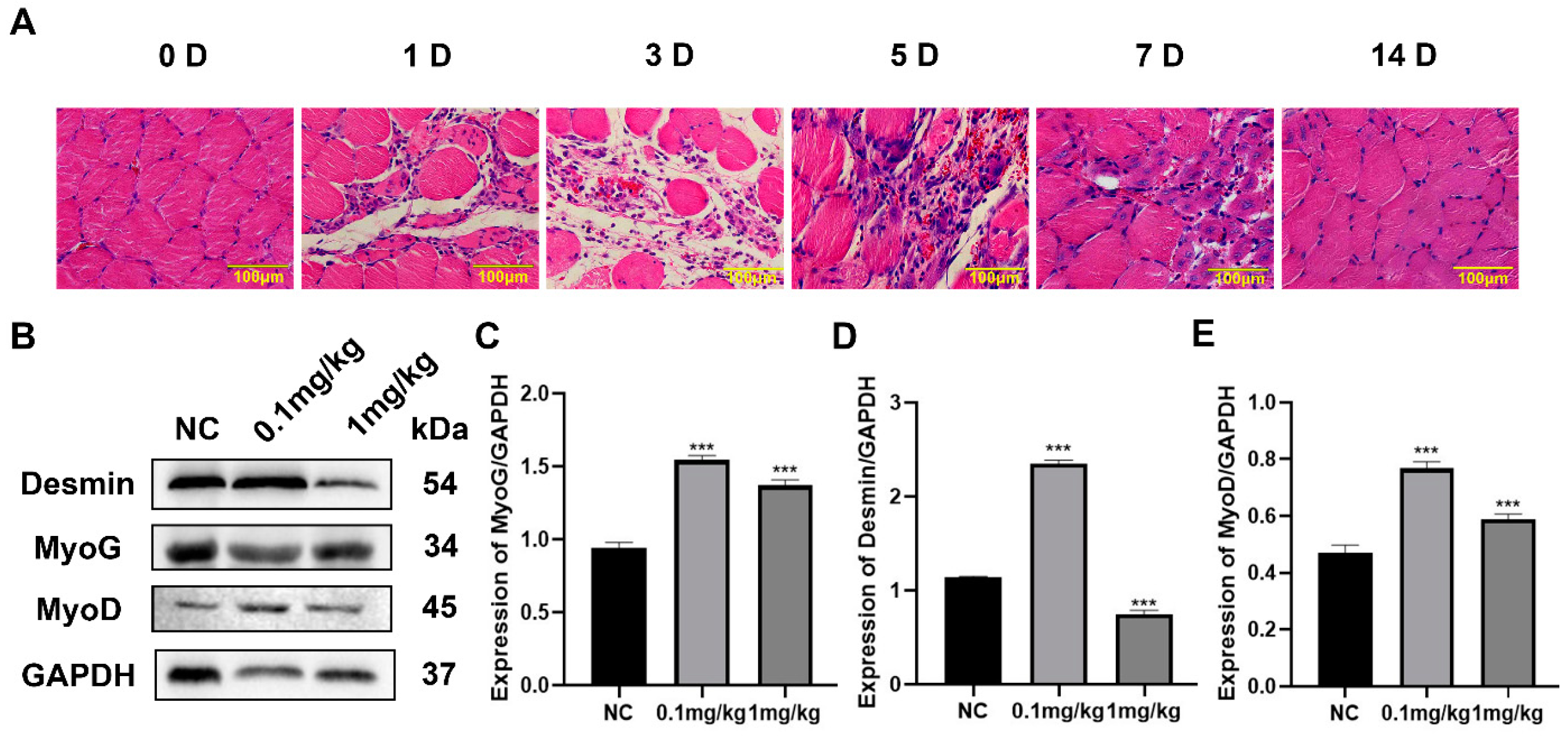 Nutrients 15 03674 g004