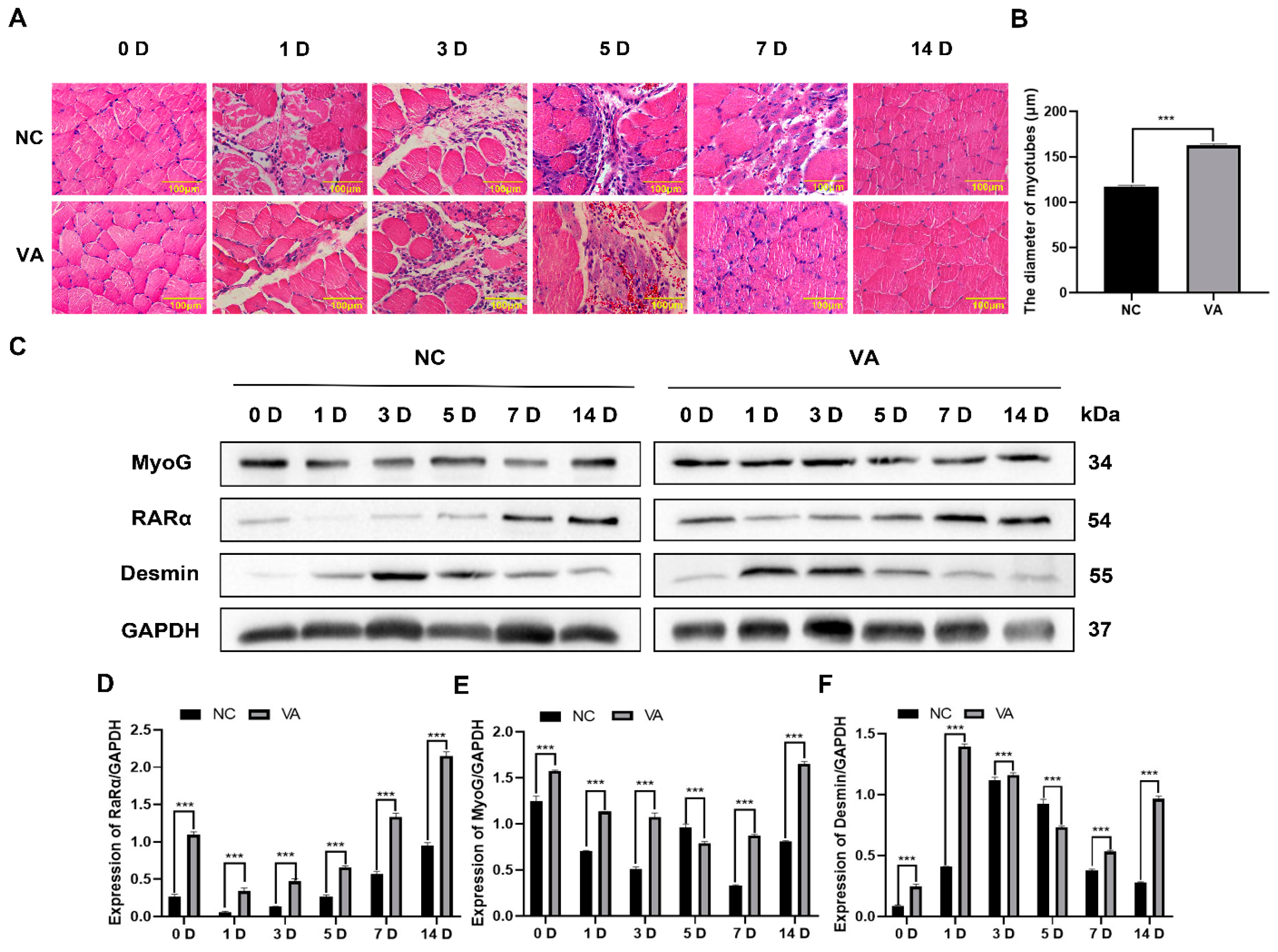 Nutrients 15 03674 g005