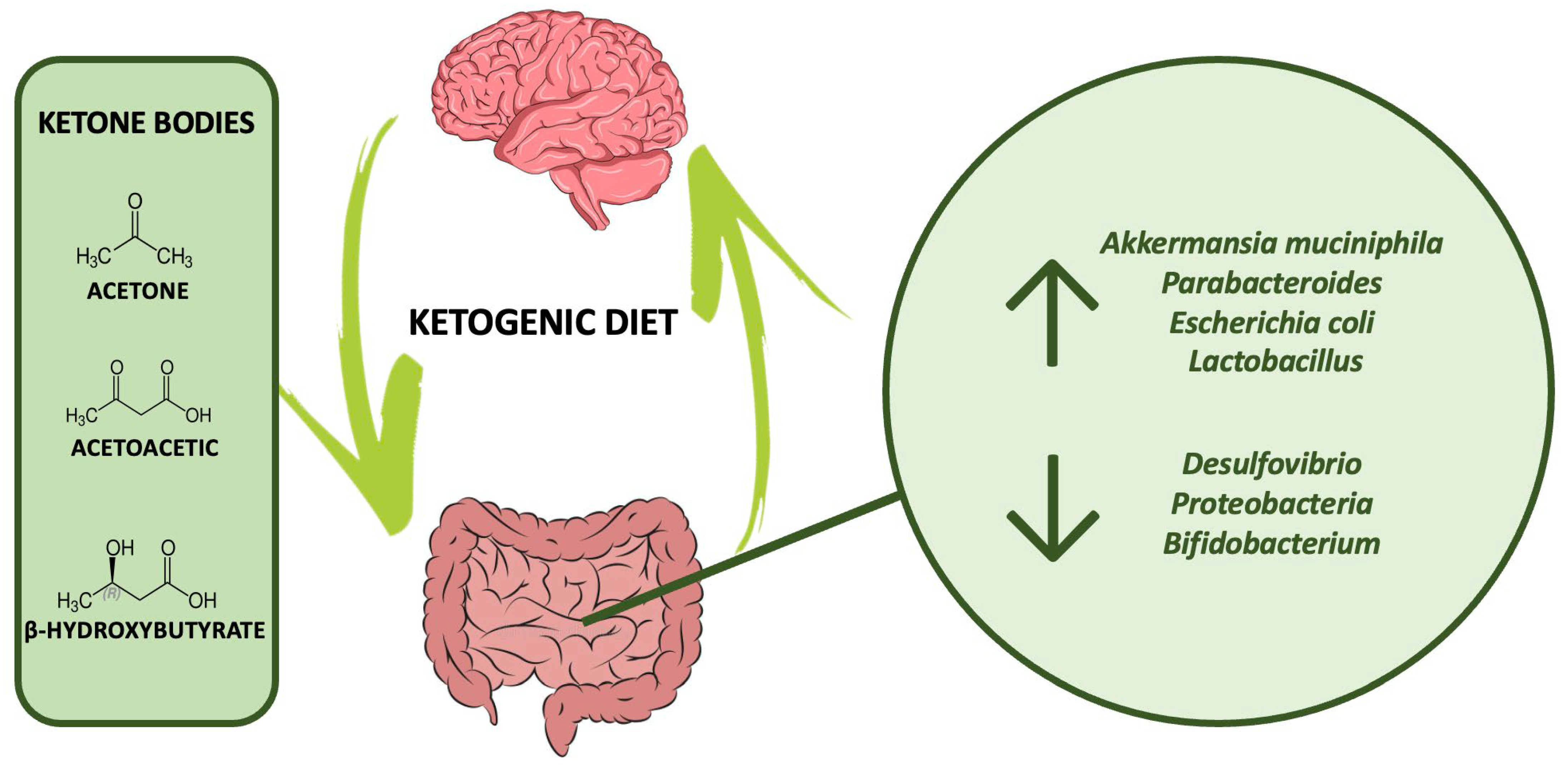 Nutrients 15 03680 g001