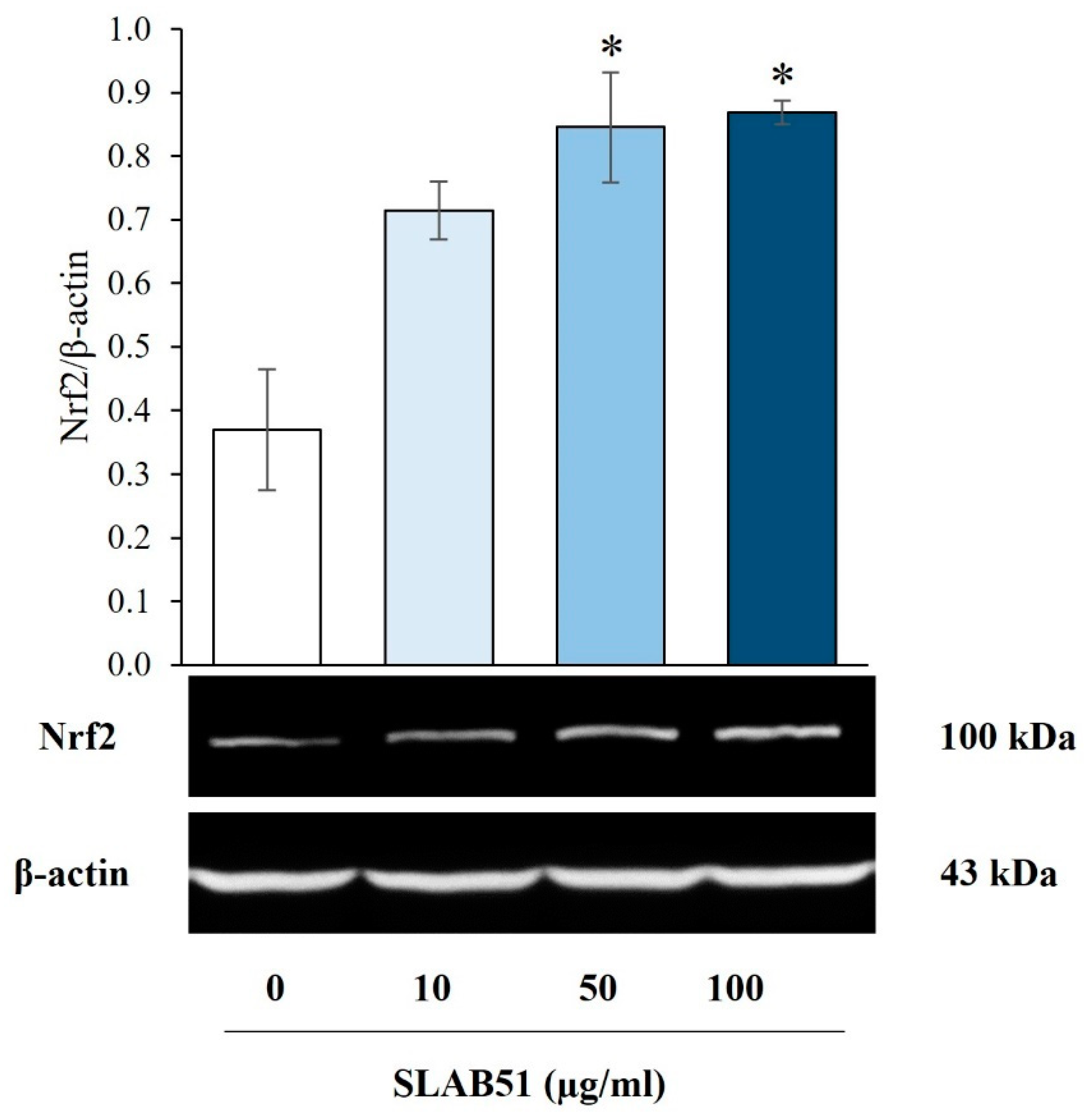 Nutrients 15 03685 g002 Nutrients 15 03685 g002