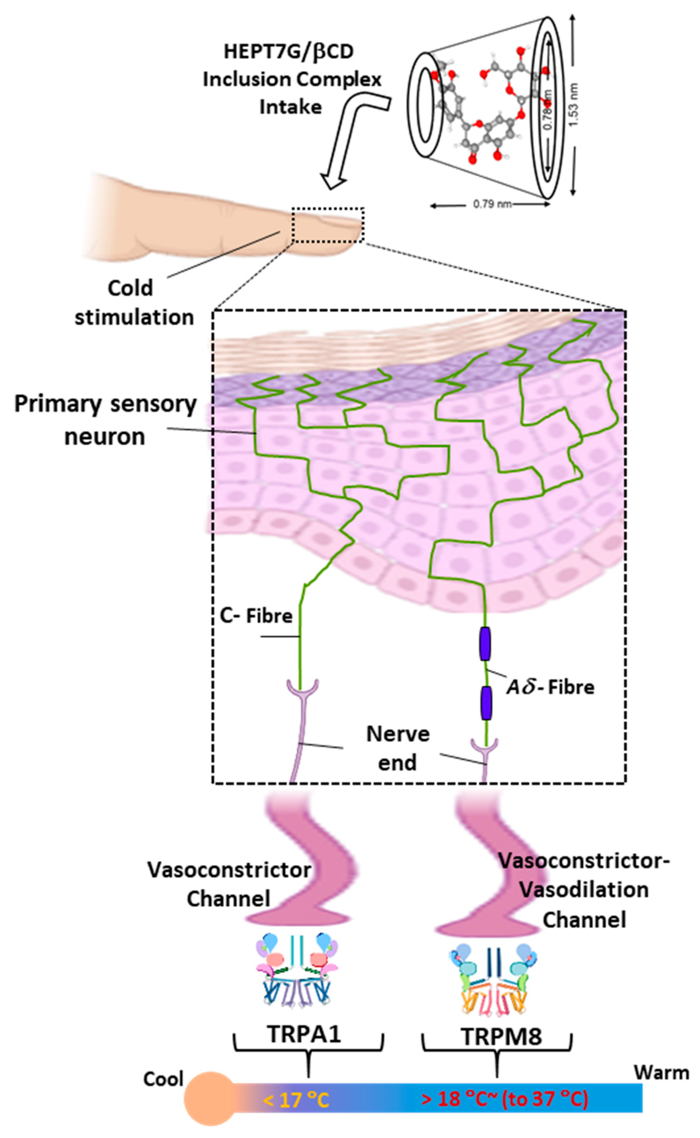 Nutrients 15 03702 g006