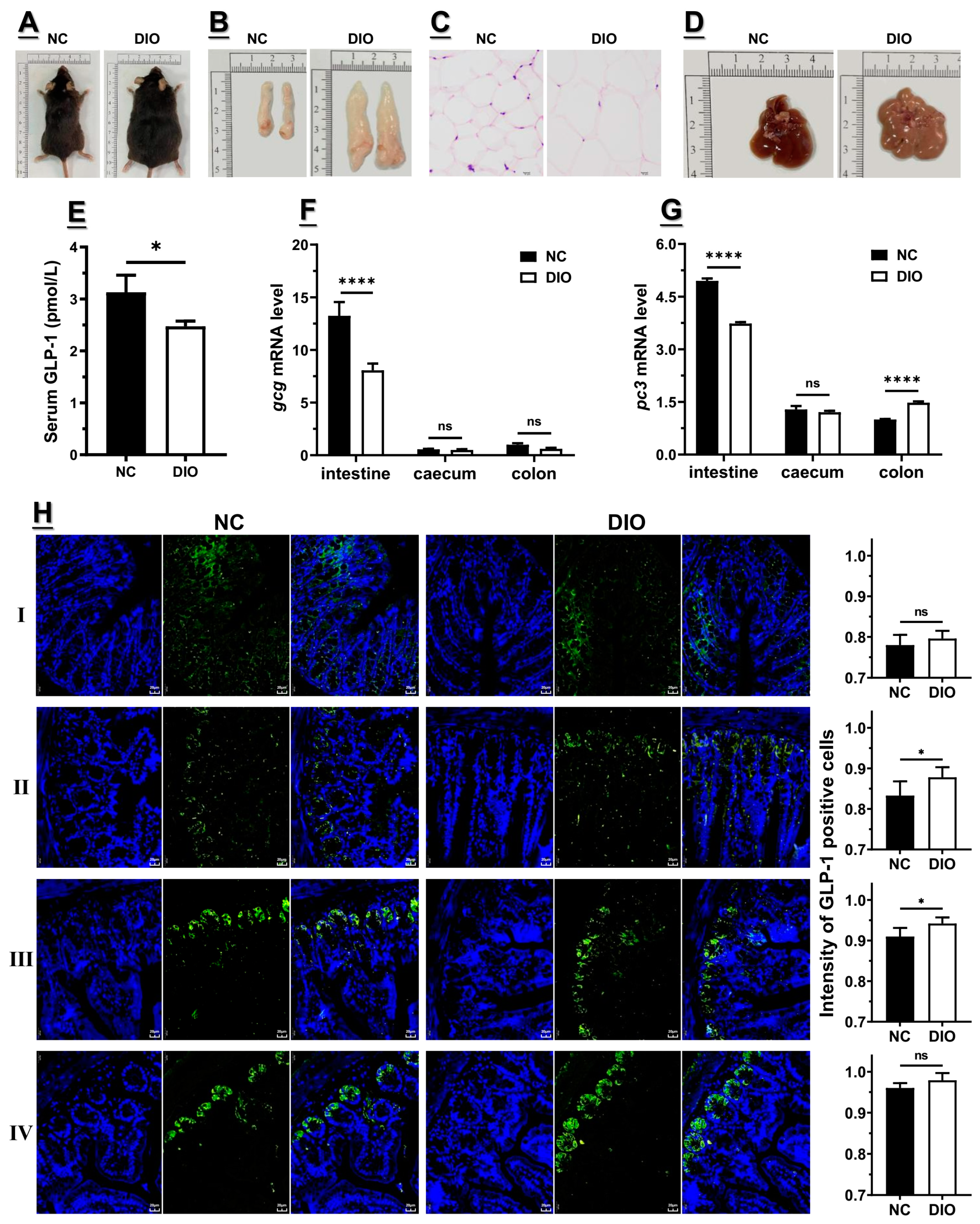 Nutrients 15 03707 g001