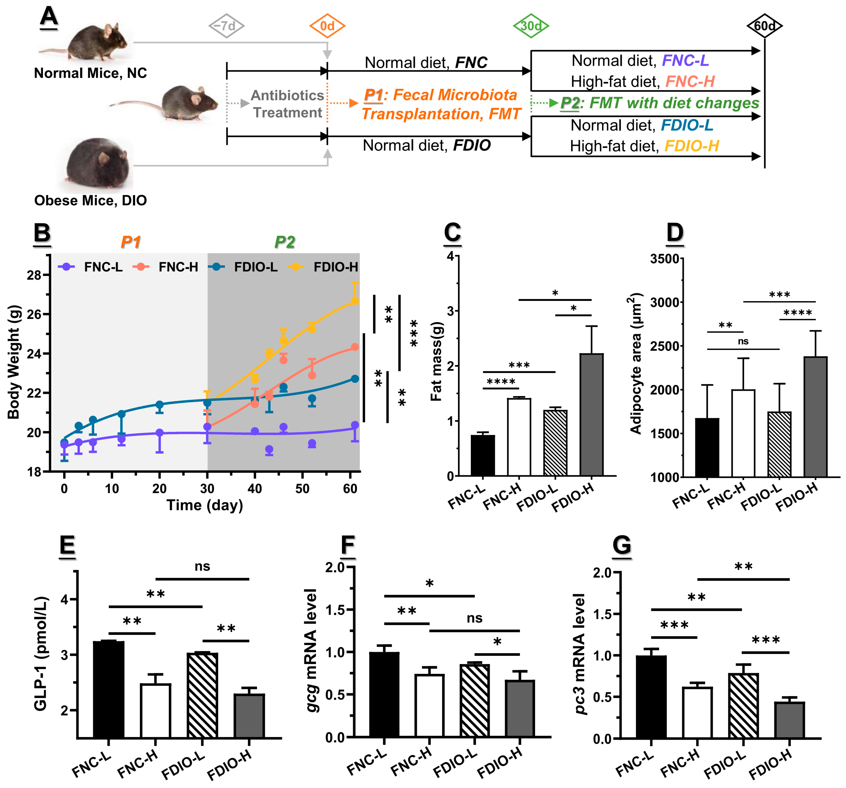 Nutrients 15 03707 g003