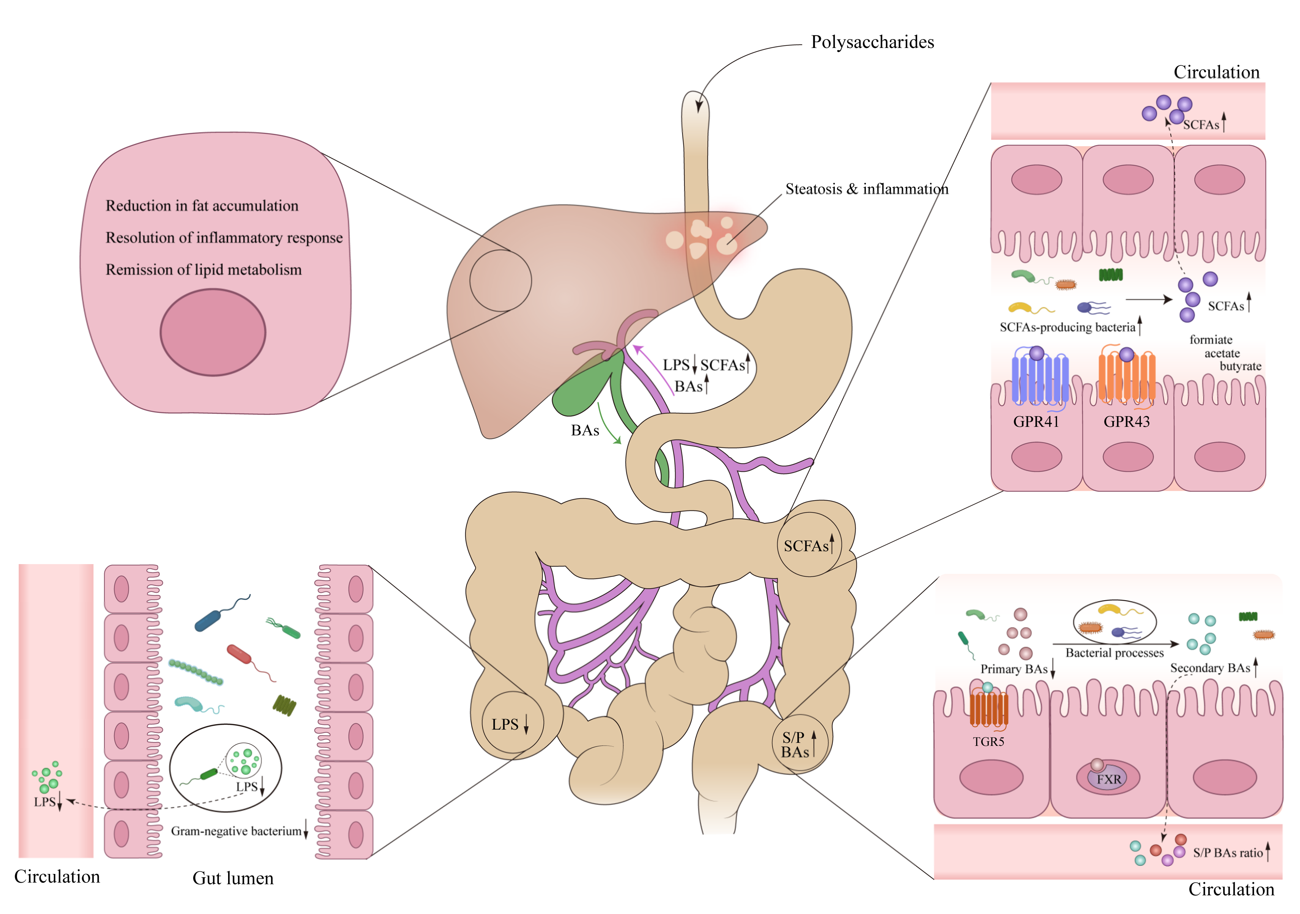 Nutrients 15 03722 g001