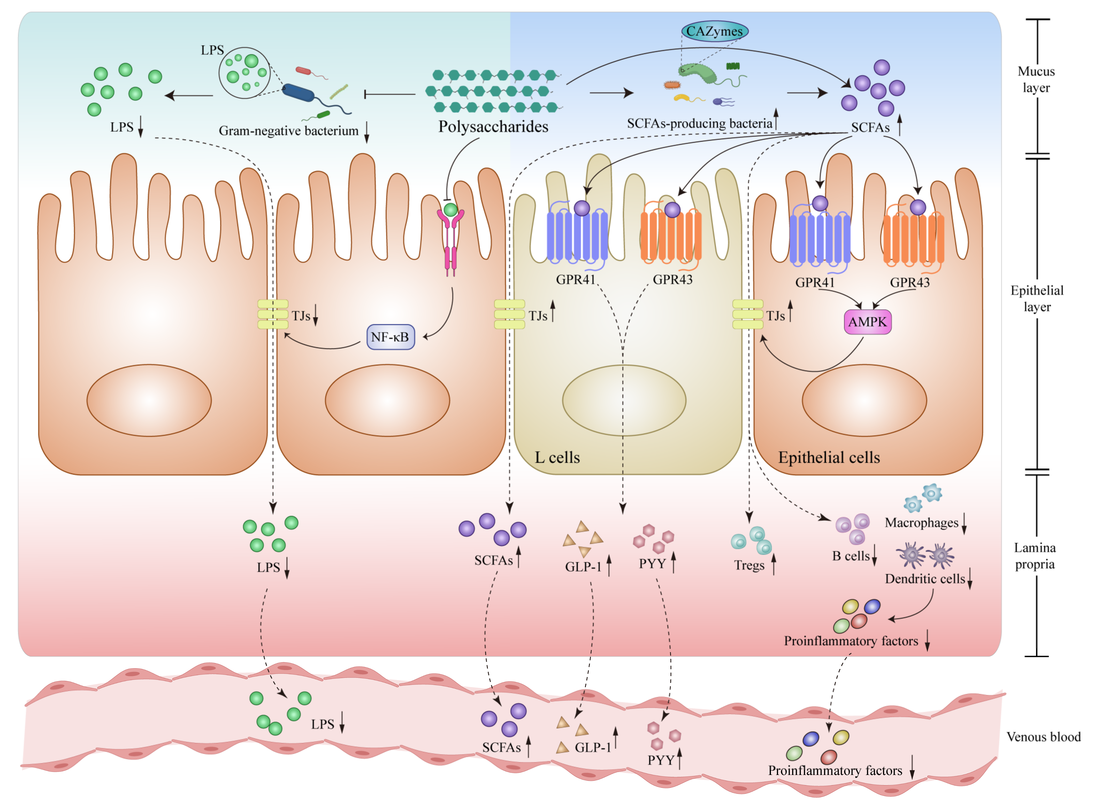 Nutrients 15 03722 g002