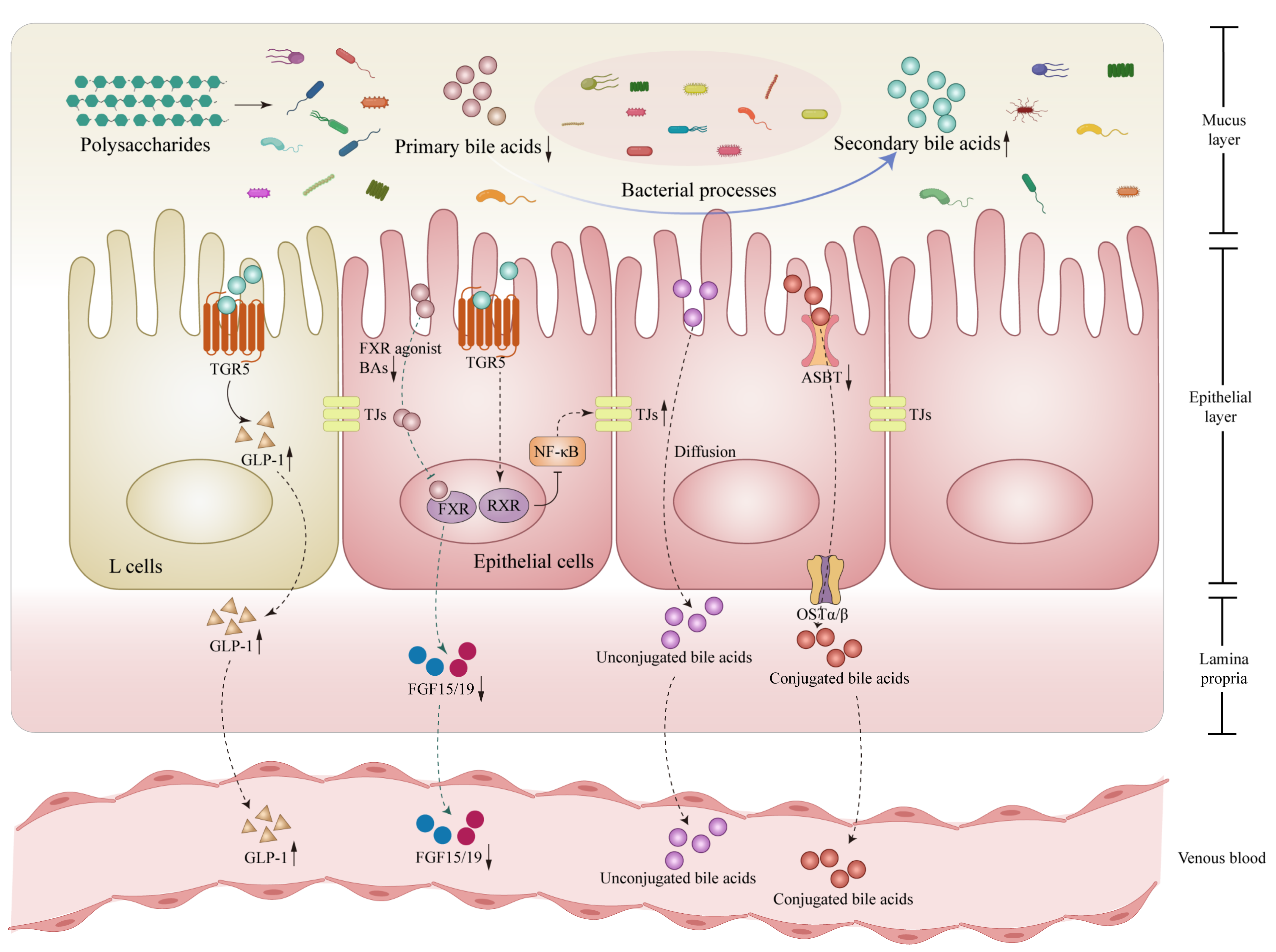 Nutrients 15 03722 g003