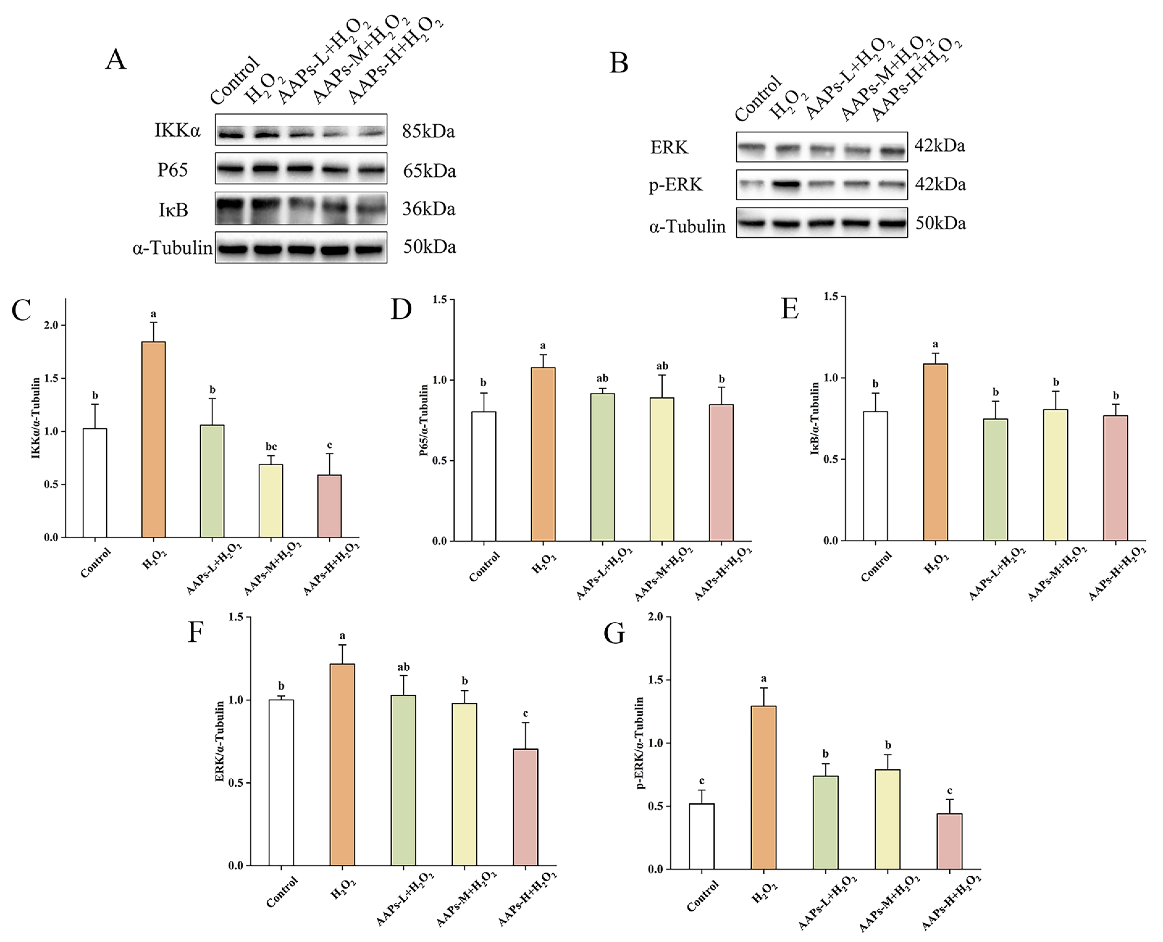 Nutrients 15 03731 g011