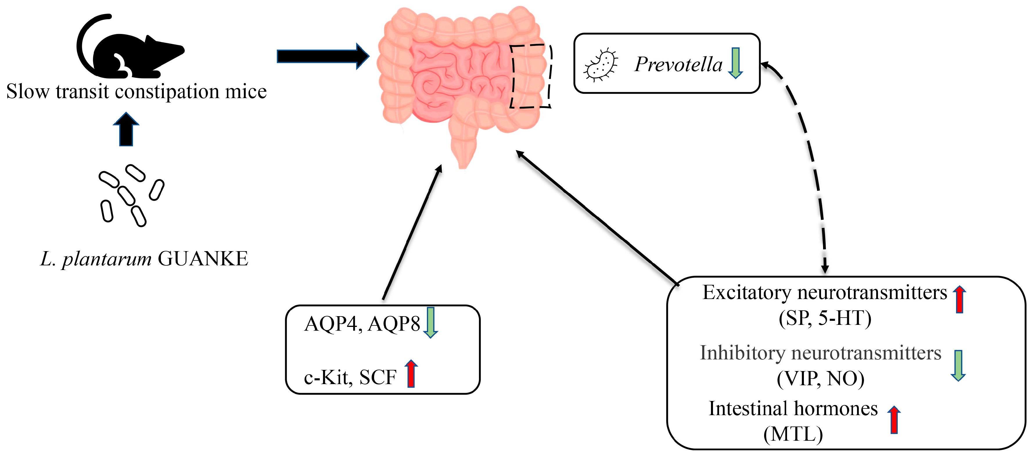 Nutrients 15 03741 g005