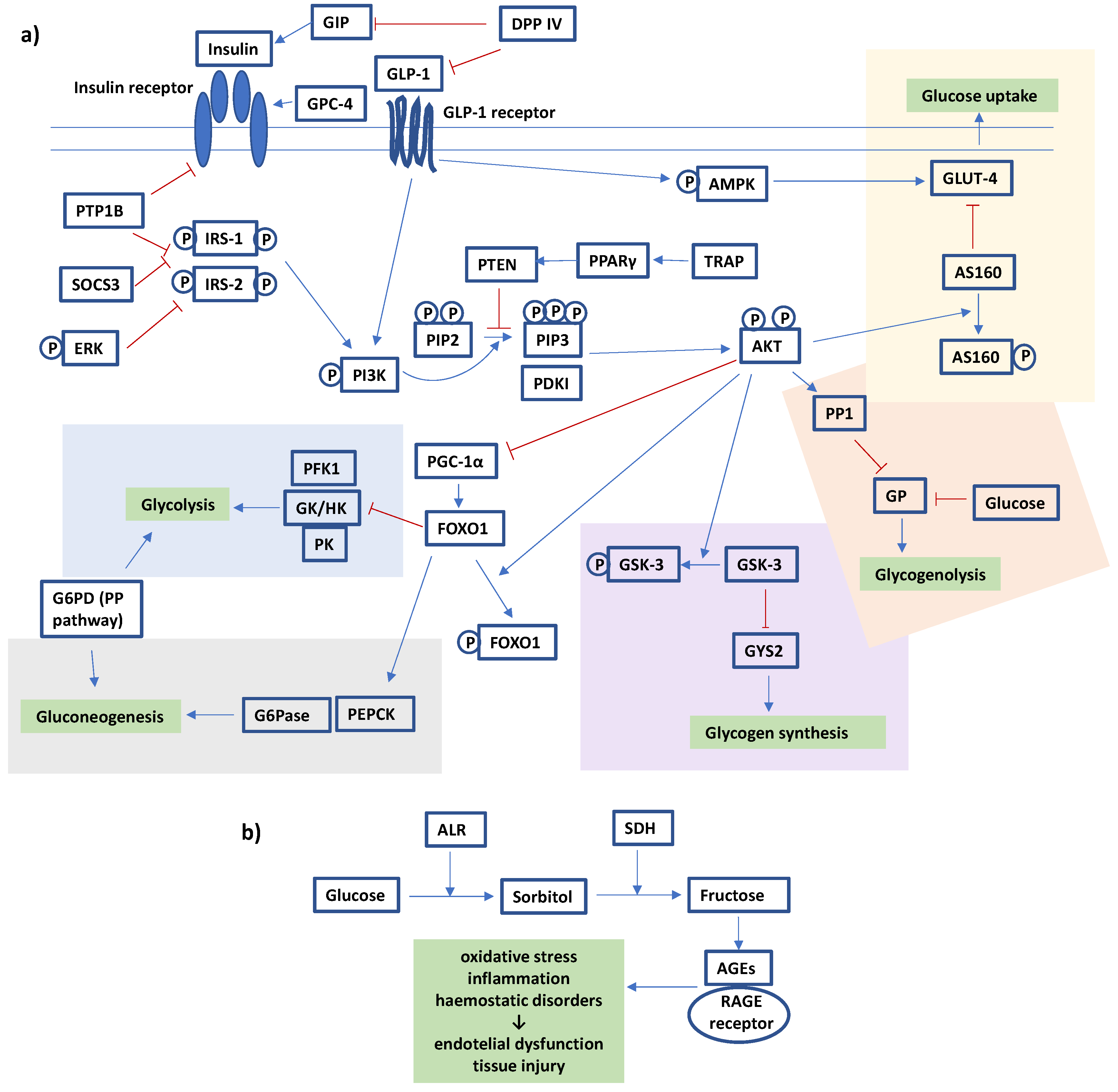 Nutrients 15 03756 g002