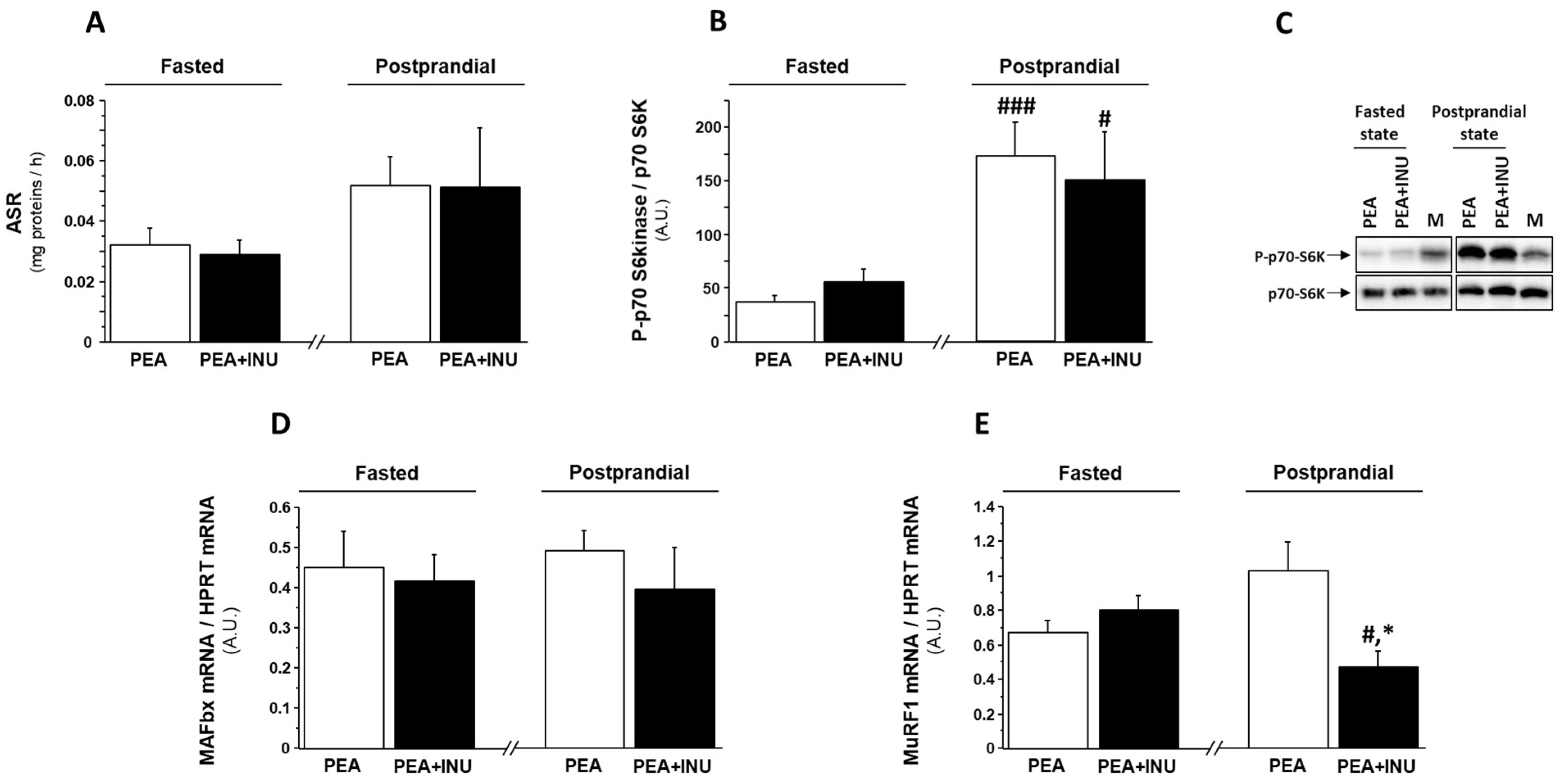 Nutrients 15 03766 g001 Nutrients 15 03766 g001