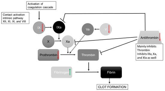 Nutrients 15 03789 g003