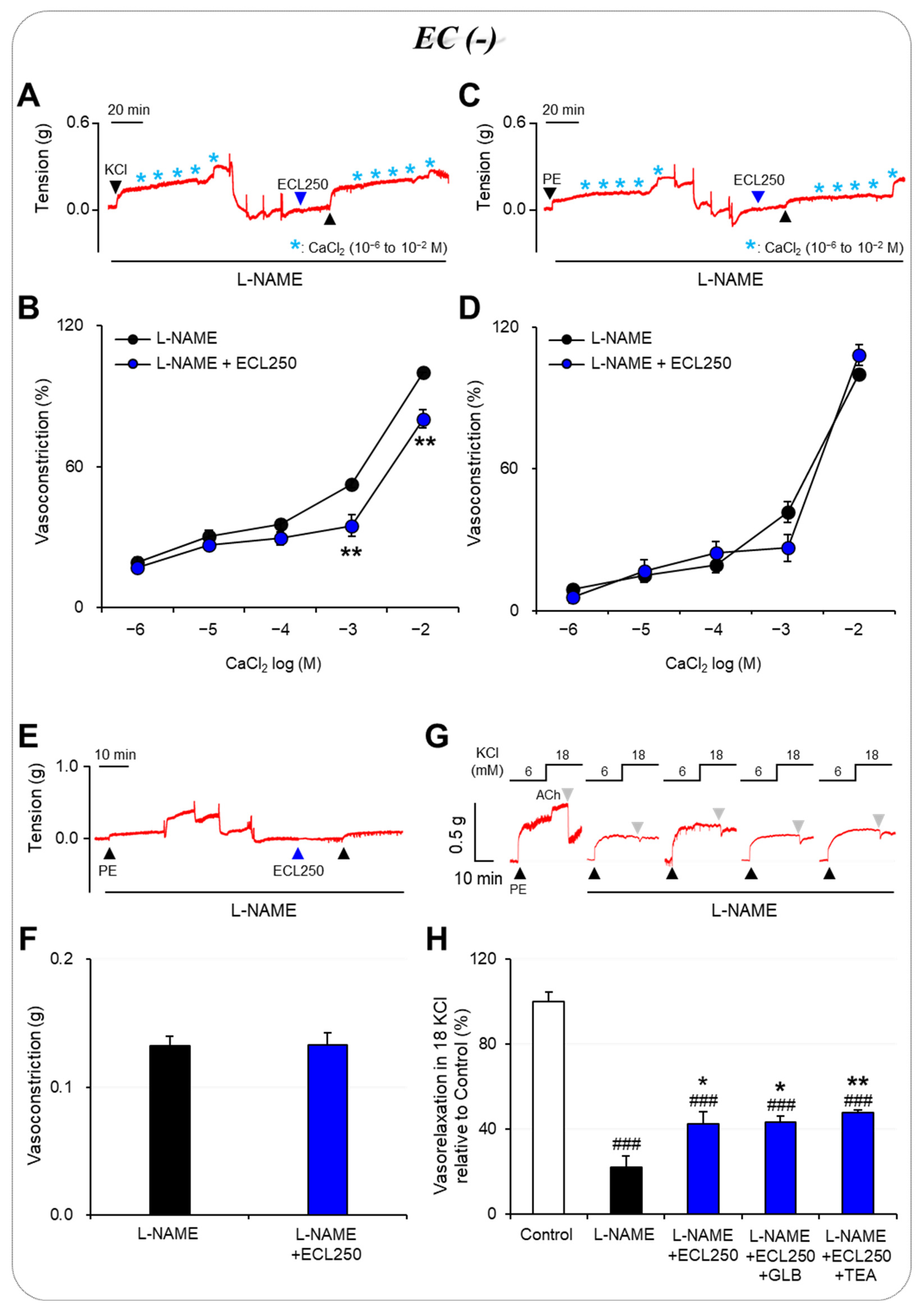 Nutrients 15 03791 g002