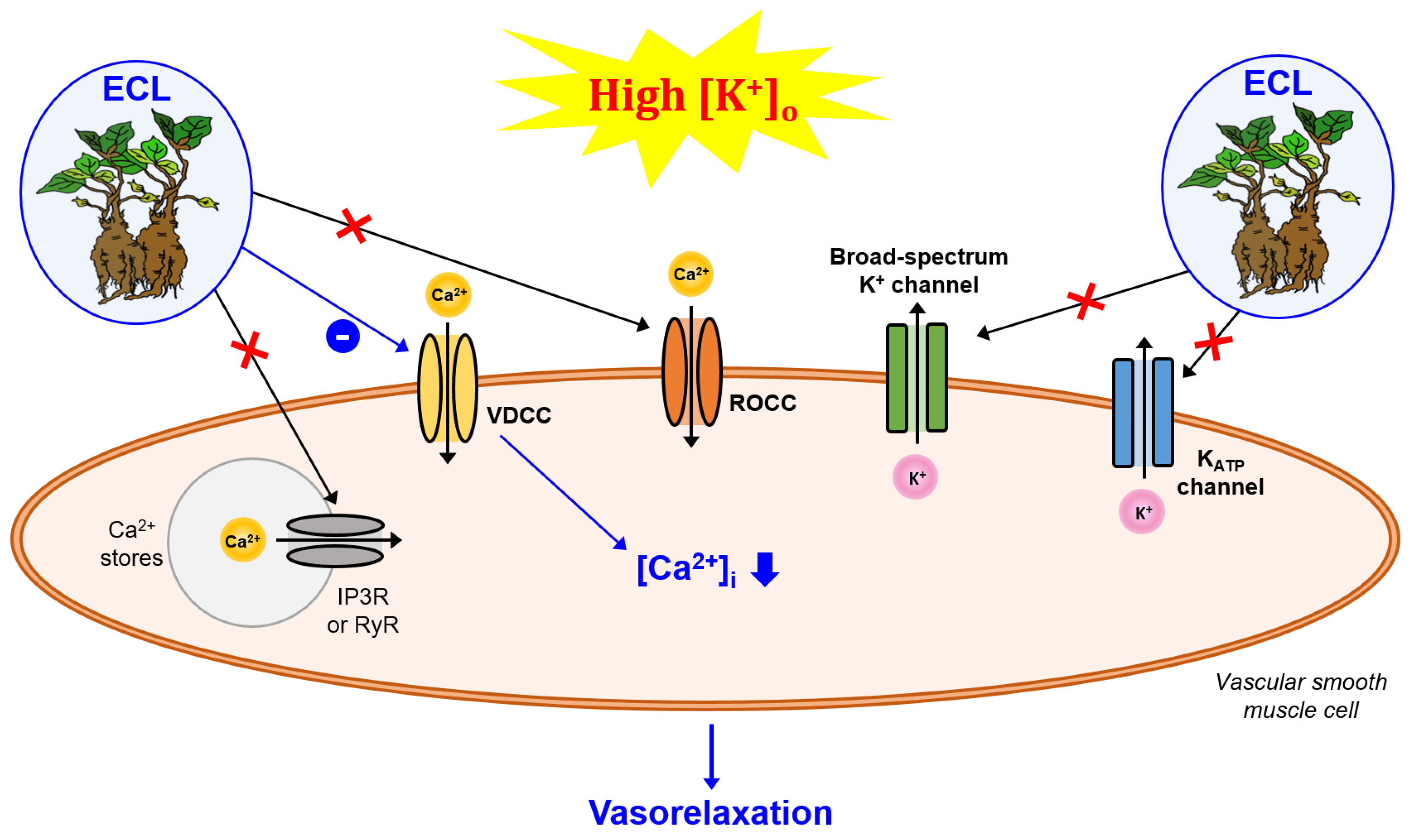 Nutrients 15 03791 g003