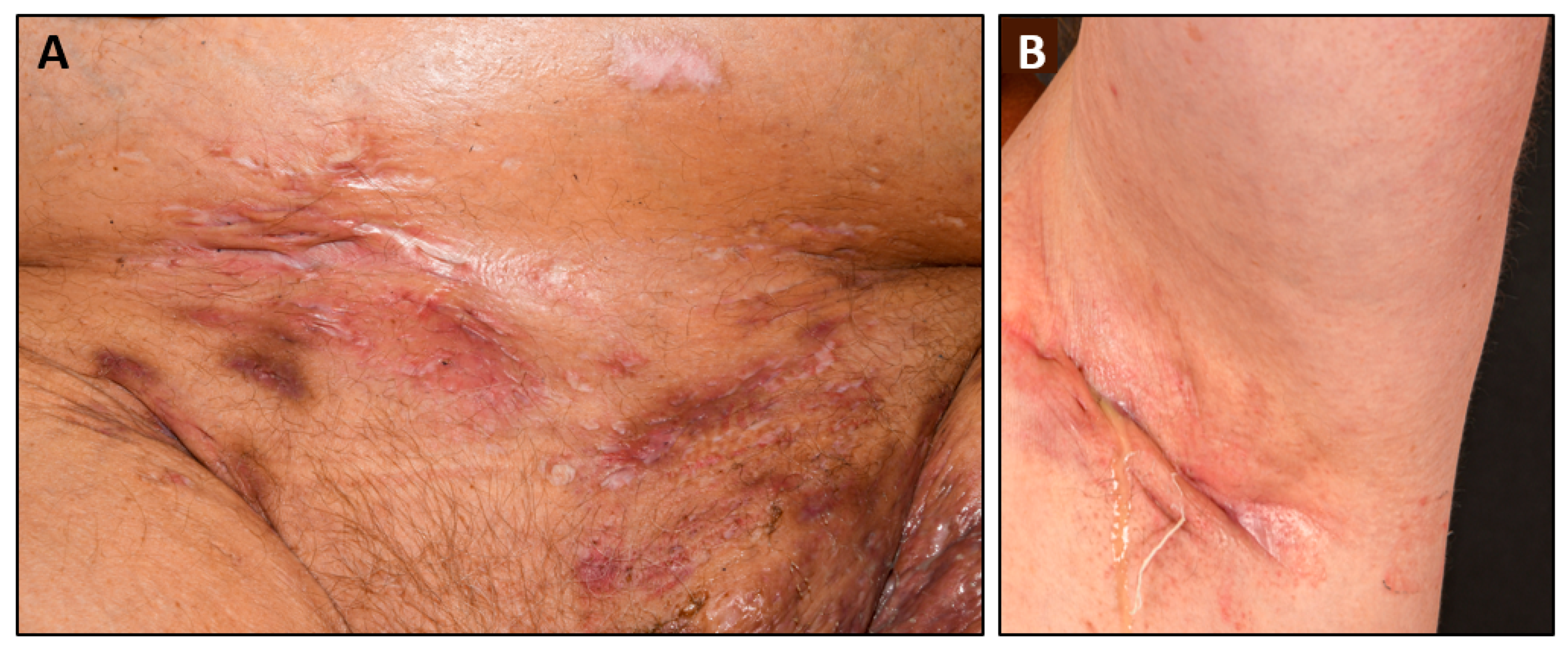 Nutrients 15 03797 g001