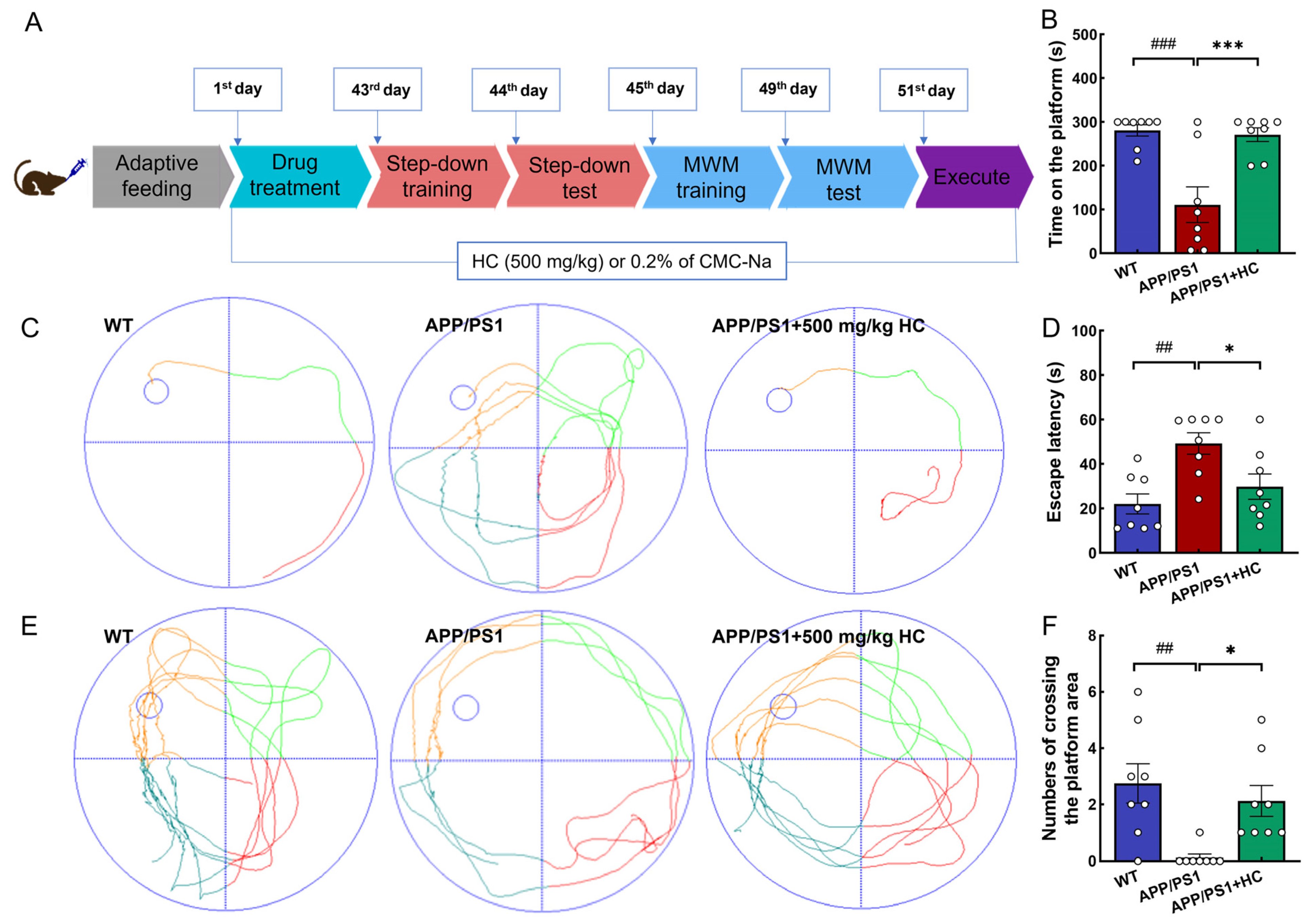 Nutrients 15 03799 g001