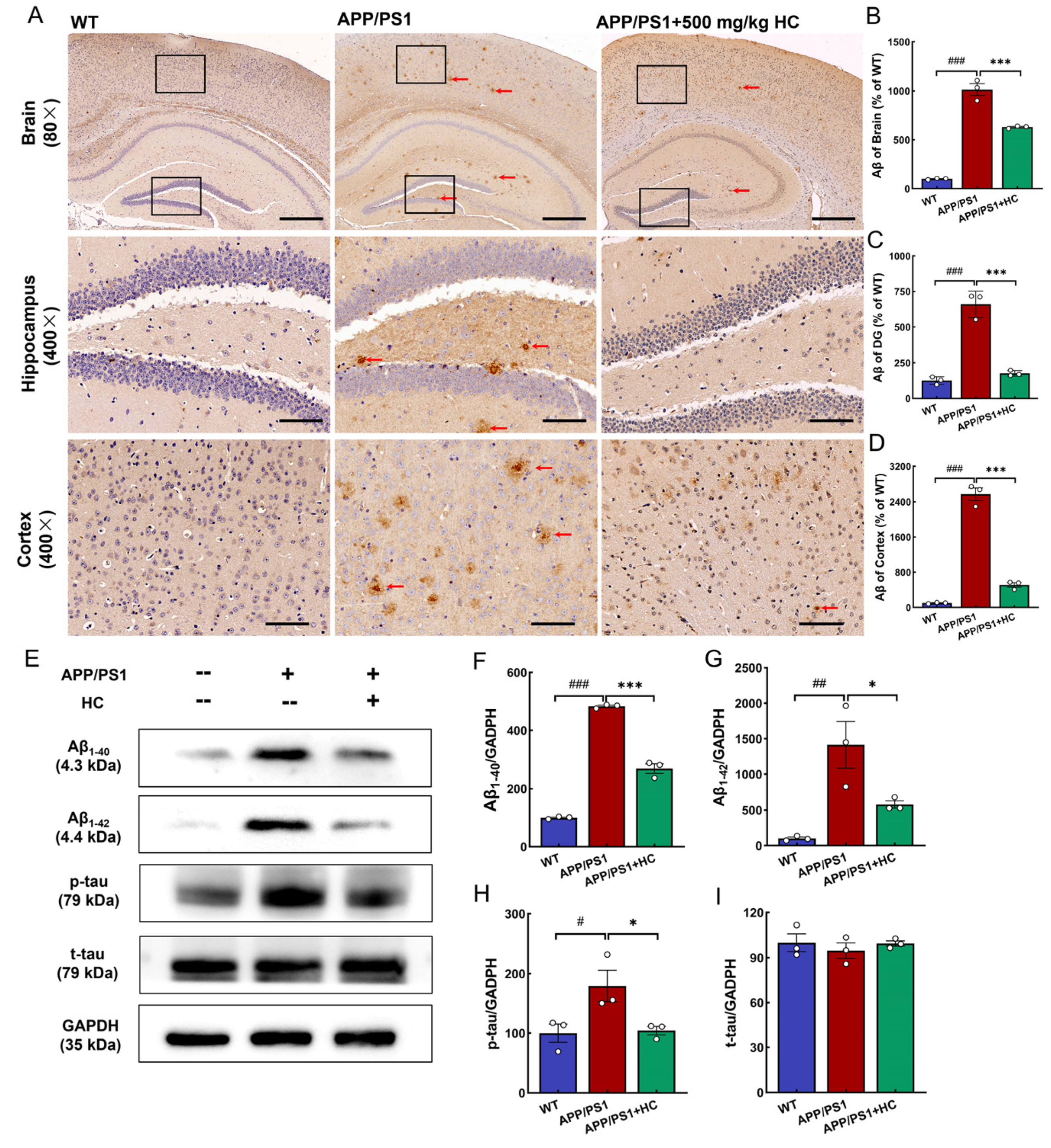 Nutrients 15 03799 g002