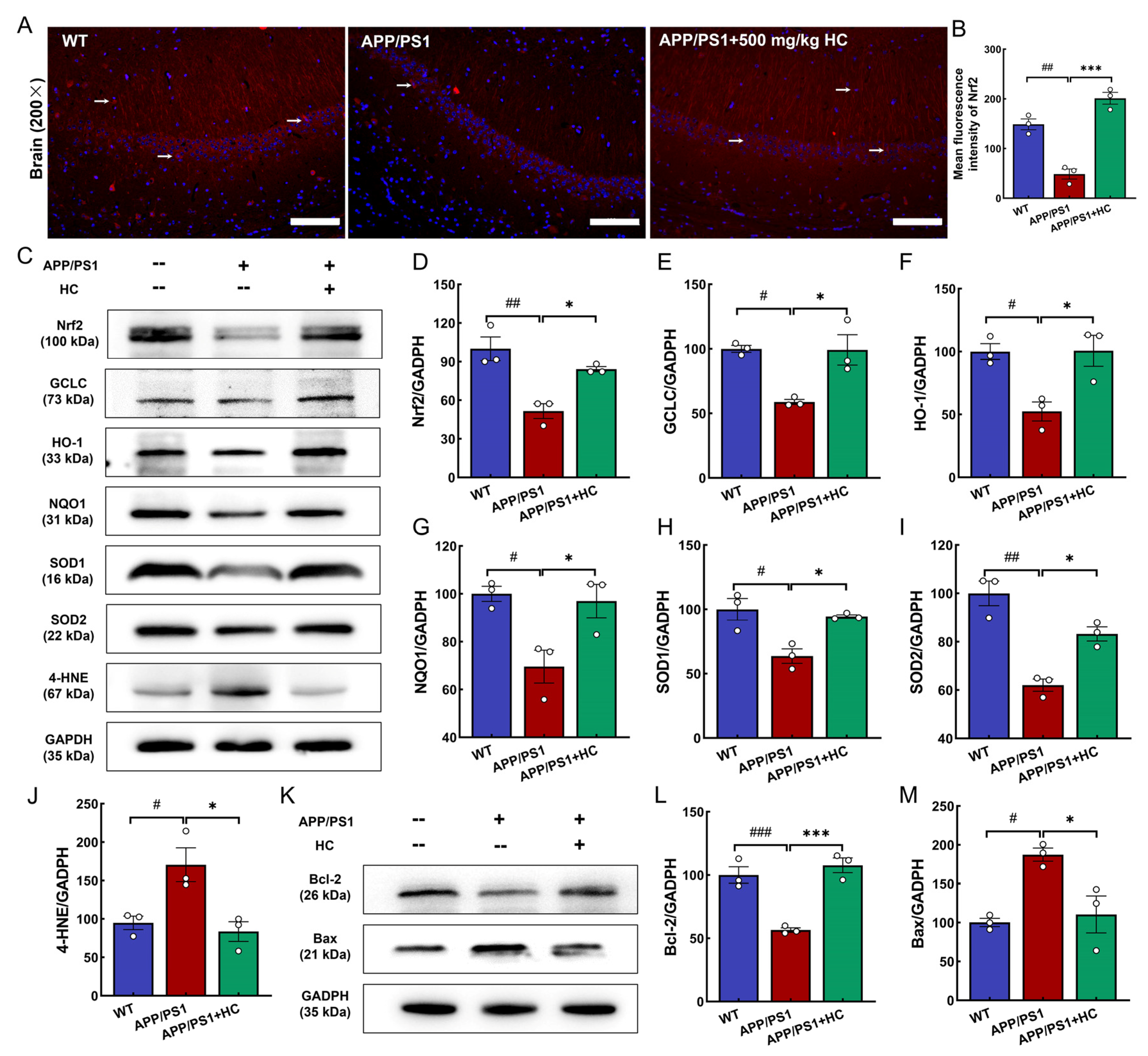 Nutrients 15 03799 g006