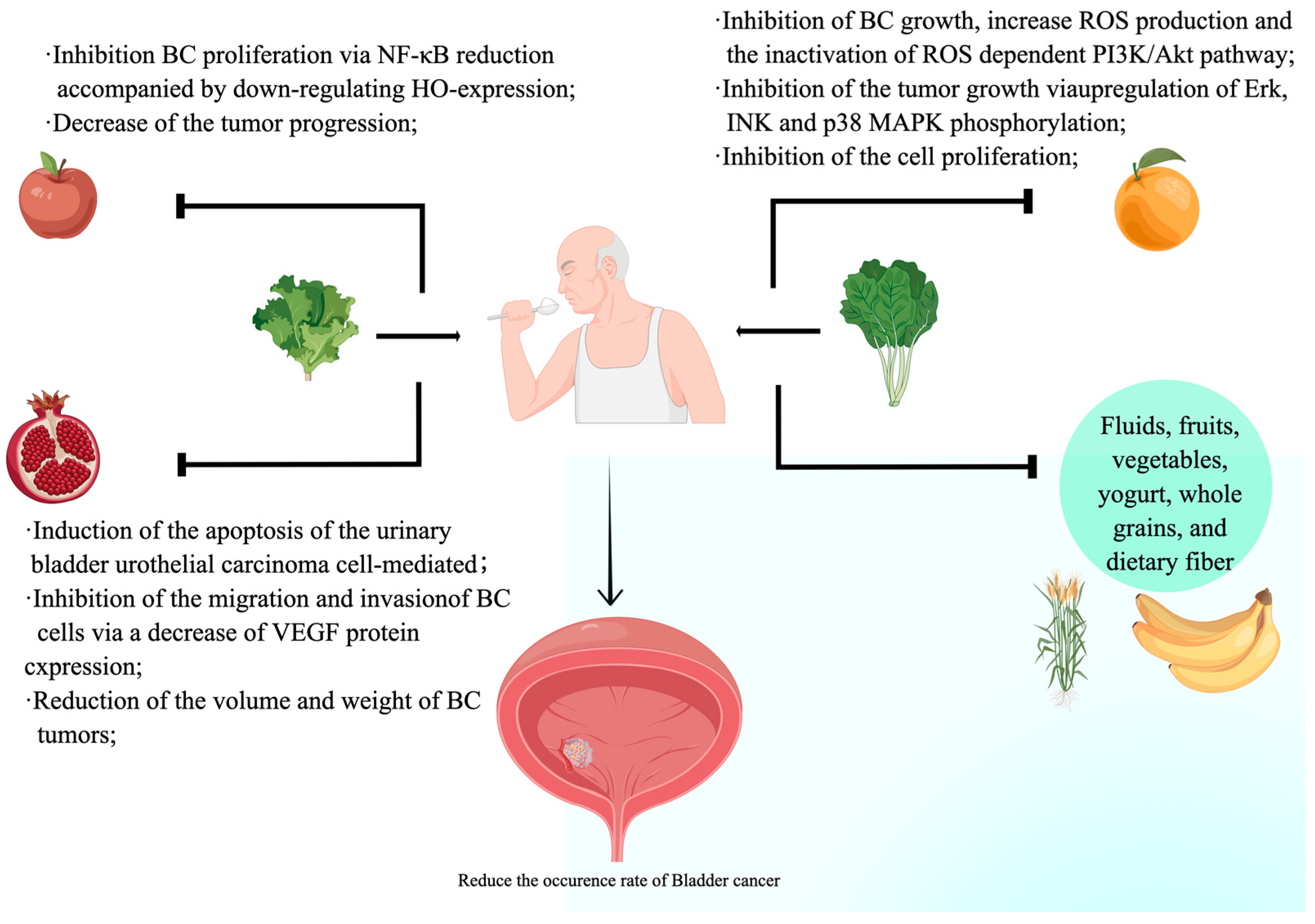 Nutrients 15 03812 g001 Nutrients 15 03812 g001