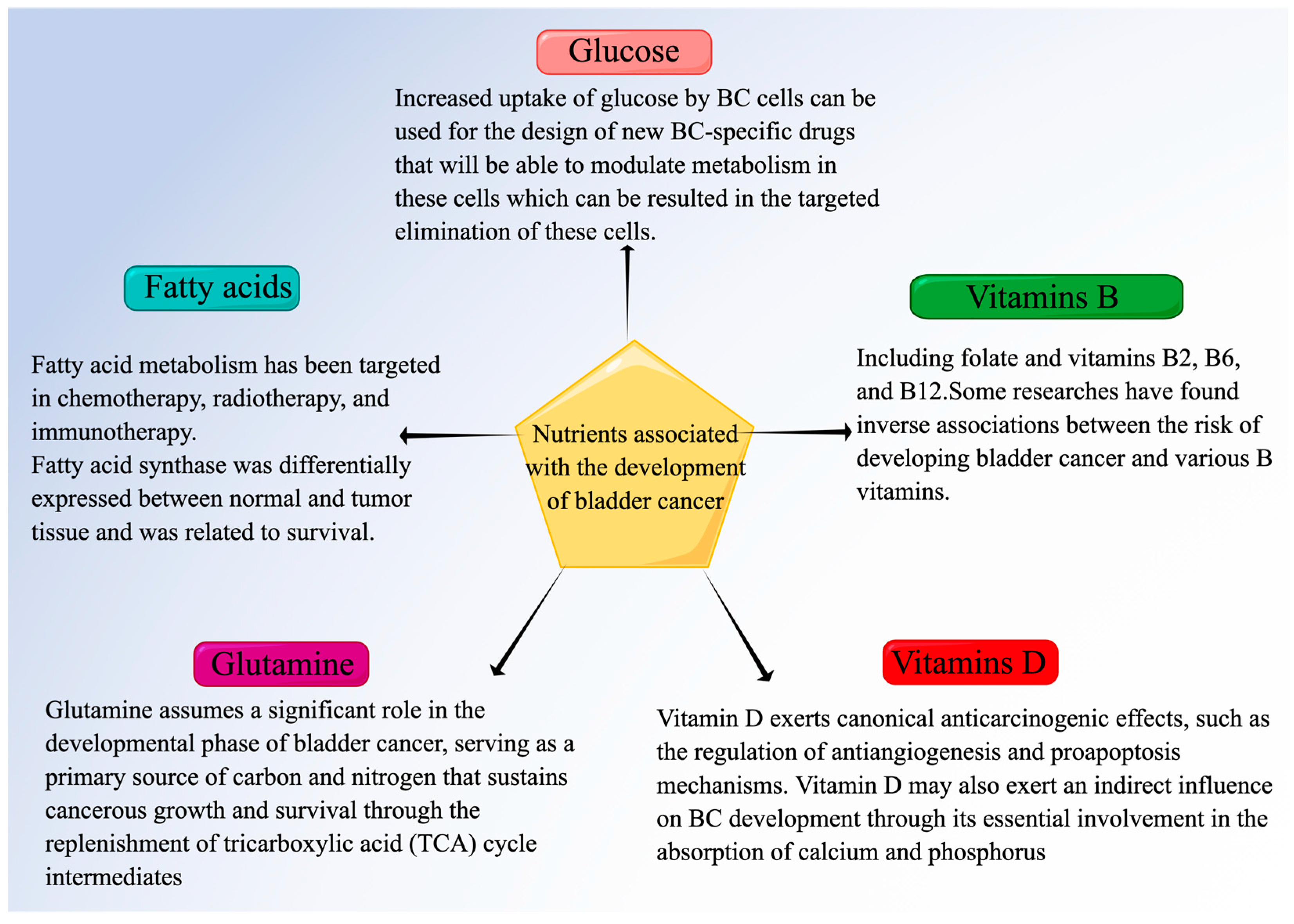 Nutrients 15 03812 g002 Nutrients 15 03812 g002