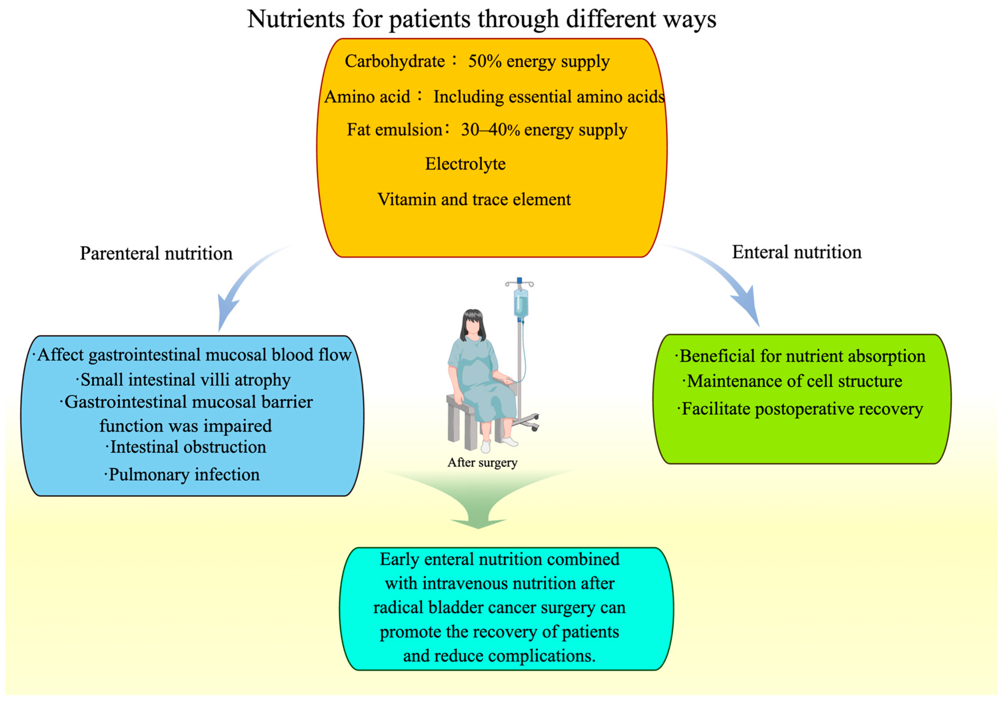 Nutrients 15 03812 g003 Nutrients 15 03812 g003