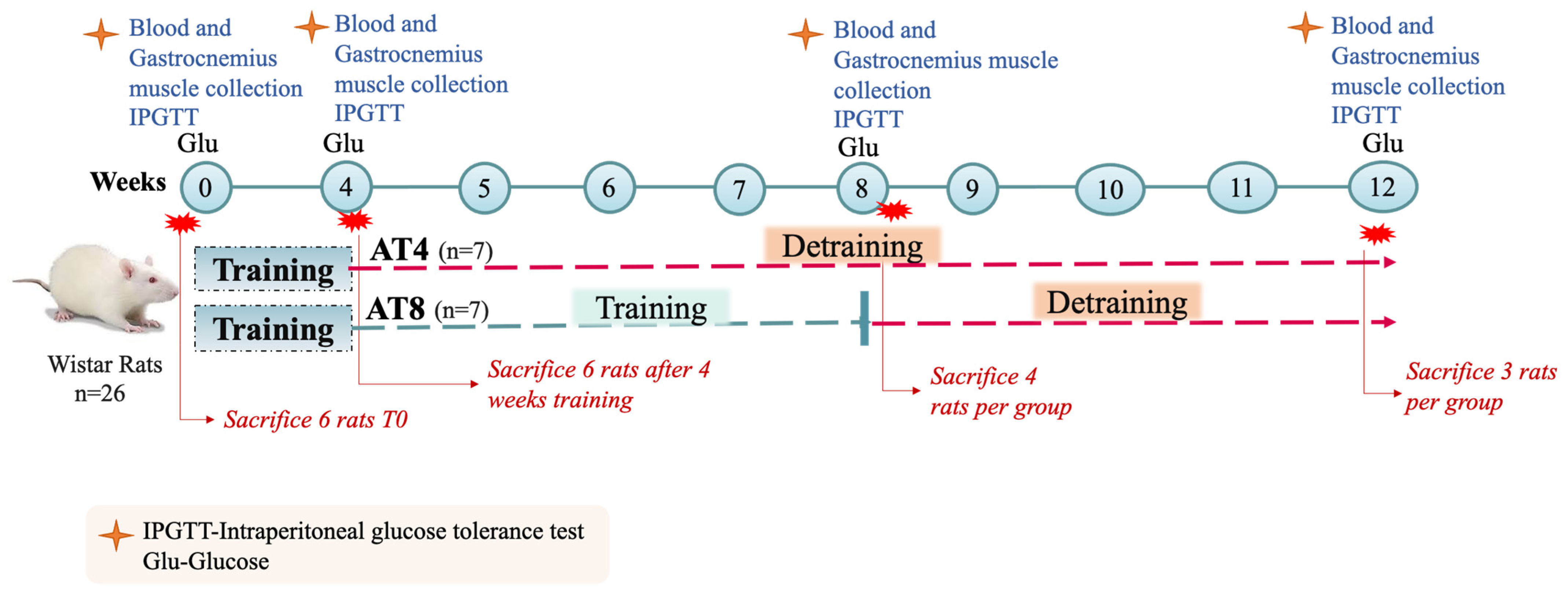 Nutrients 15 03820 g001 Nutrients 15 03820 g001