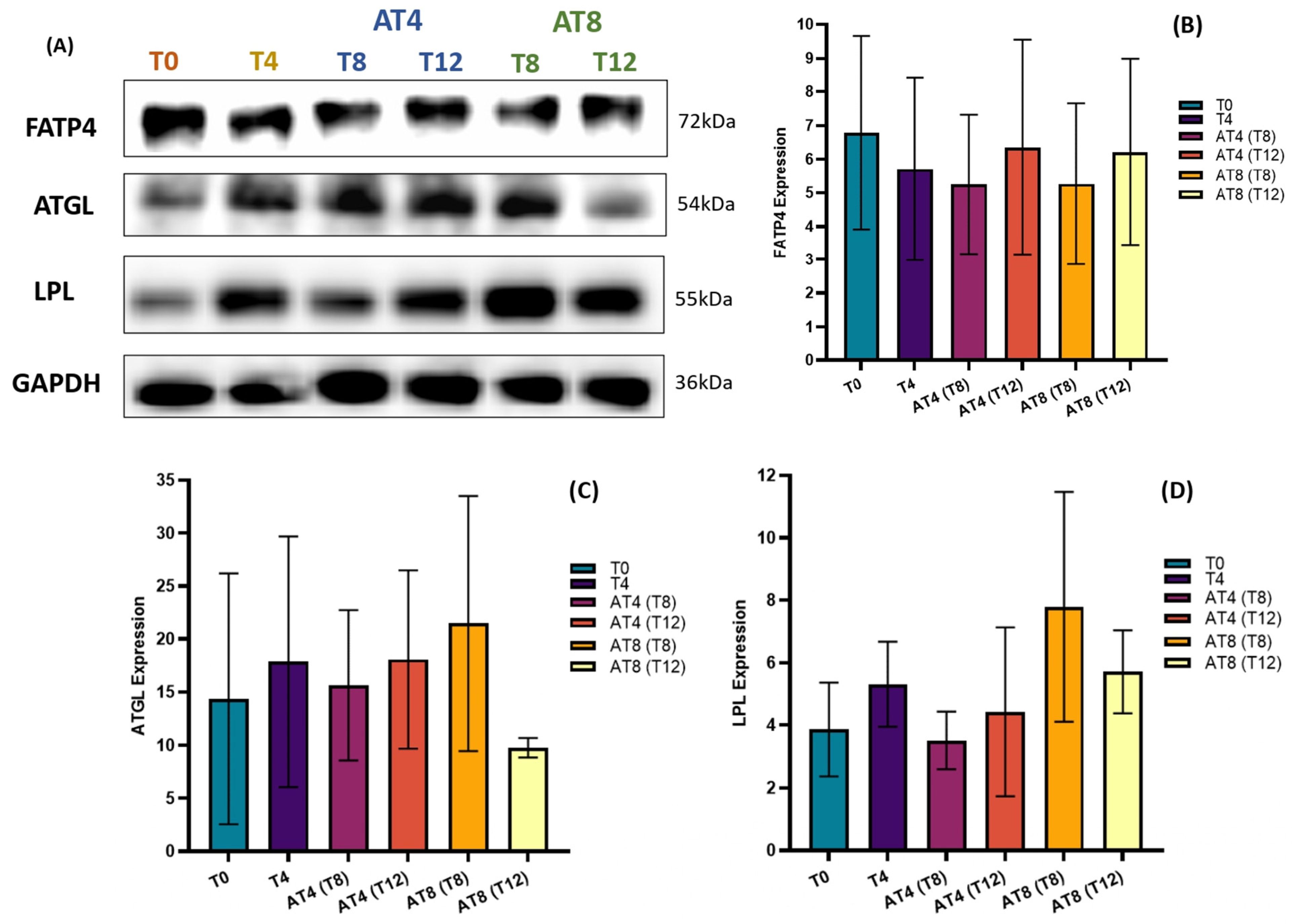 Nutrients 15 03820 g014 Nutrients 15 03820 g014