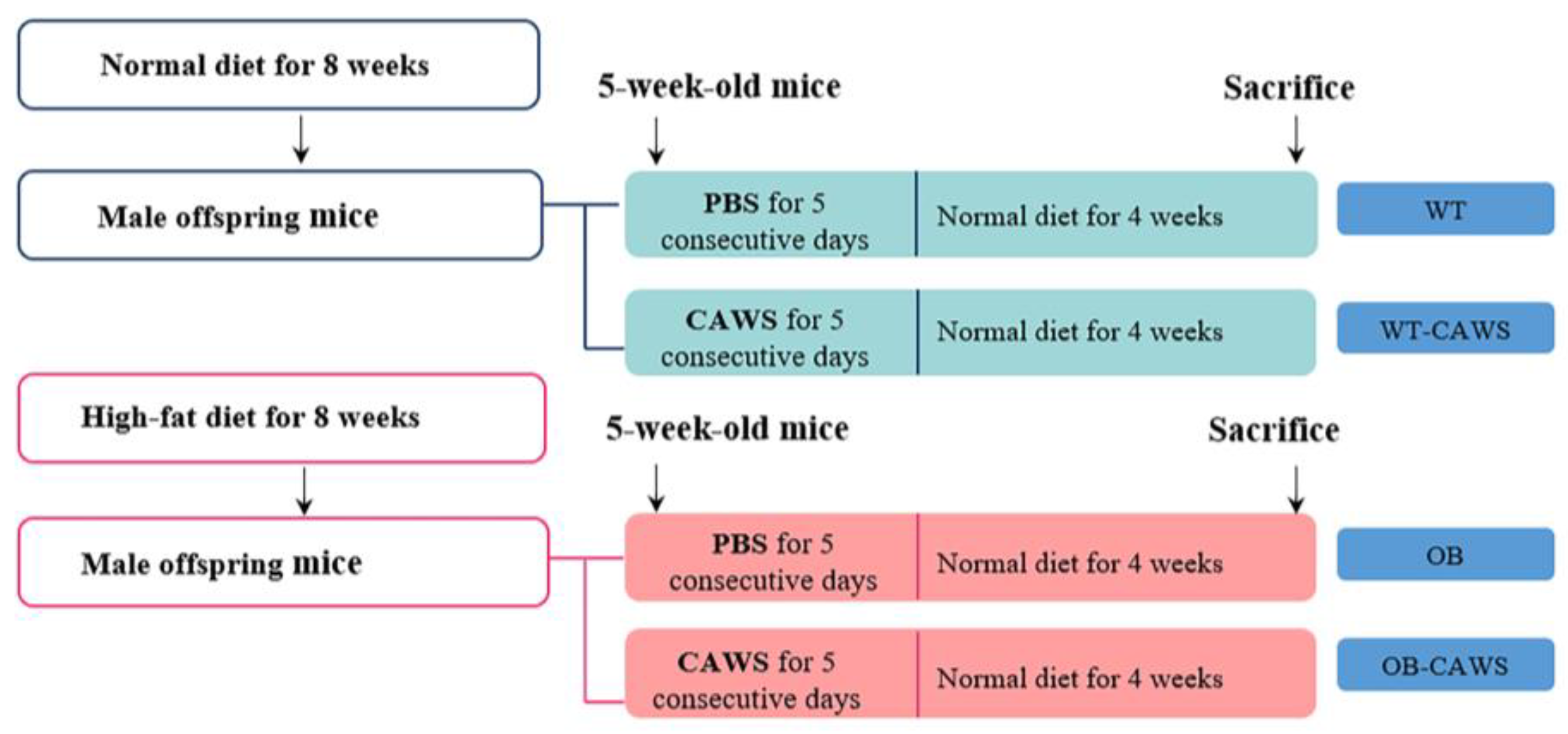 Nutrients 15 03823 g001