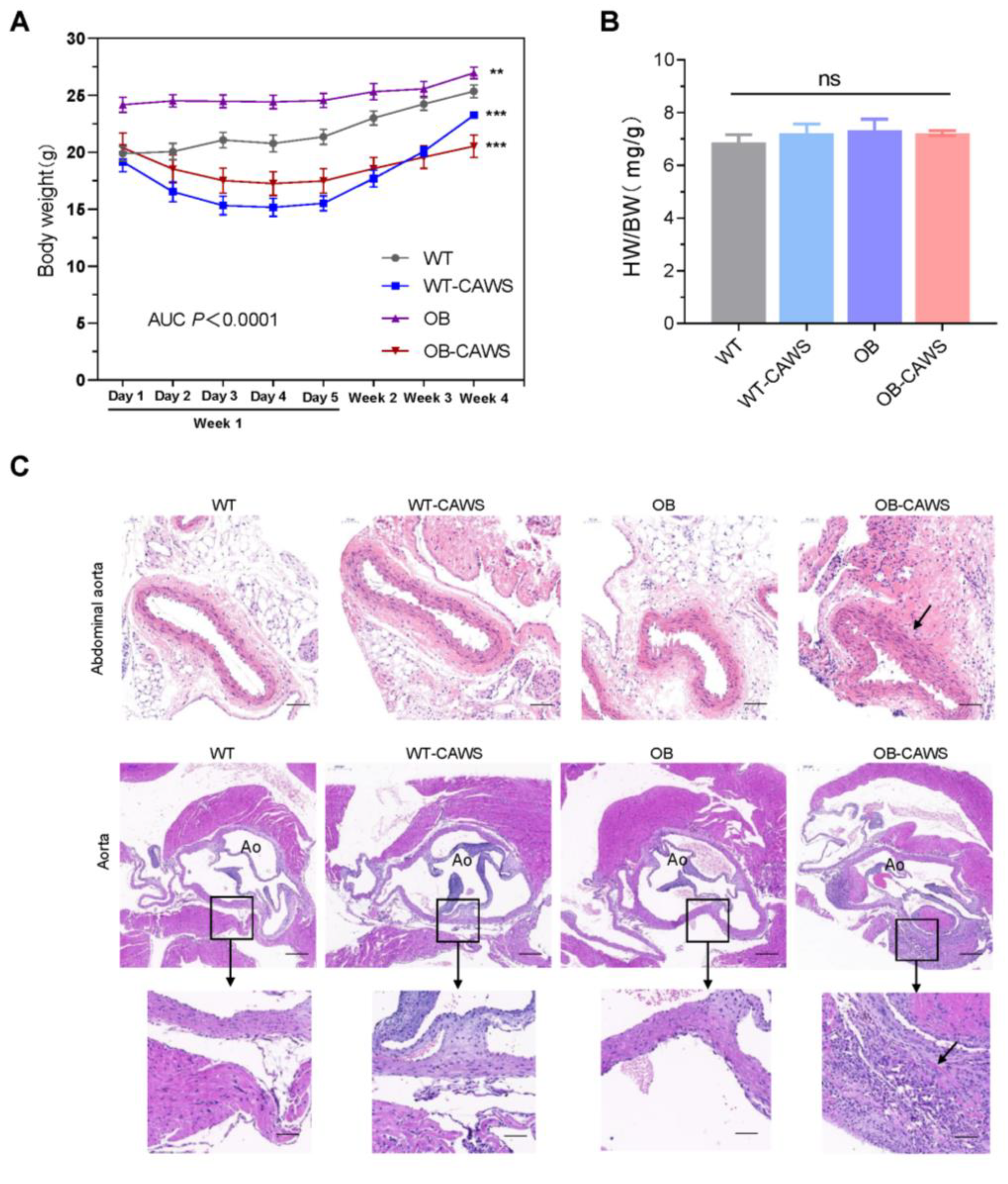 Nutrients 15 03823 g002