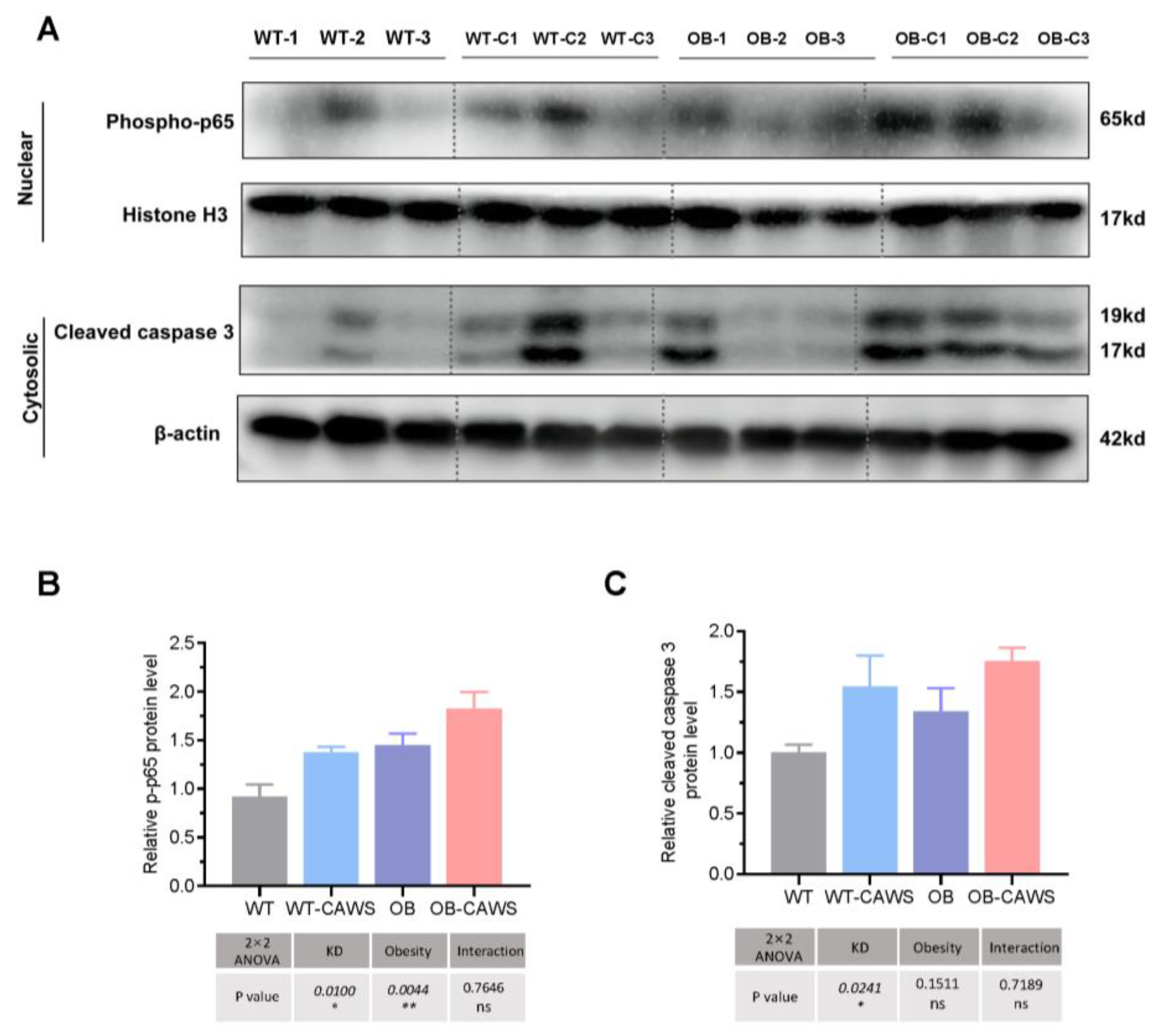 Nutrients 15 03823 g004